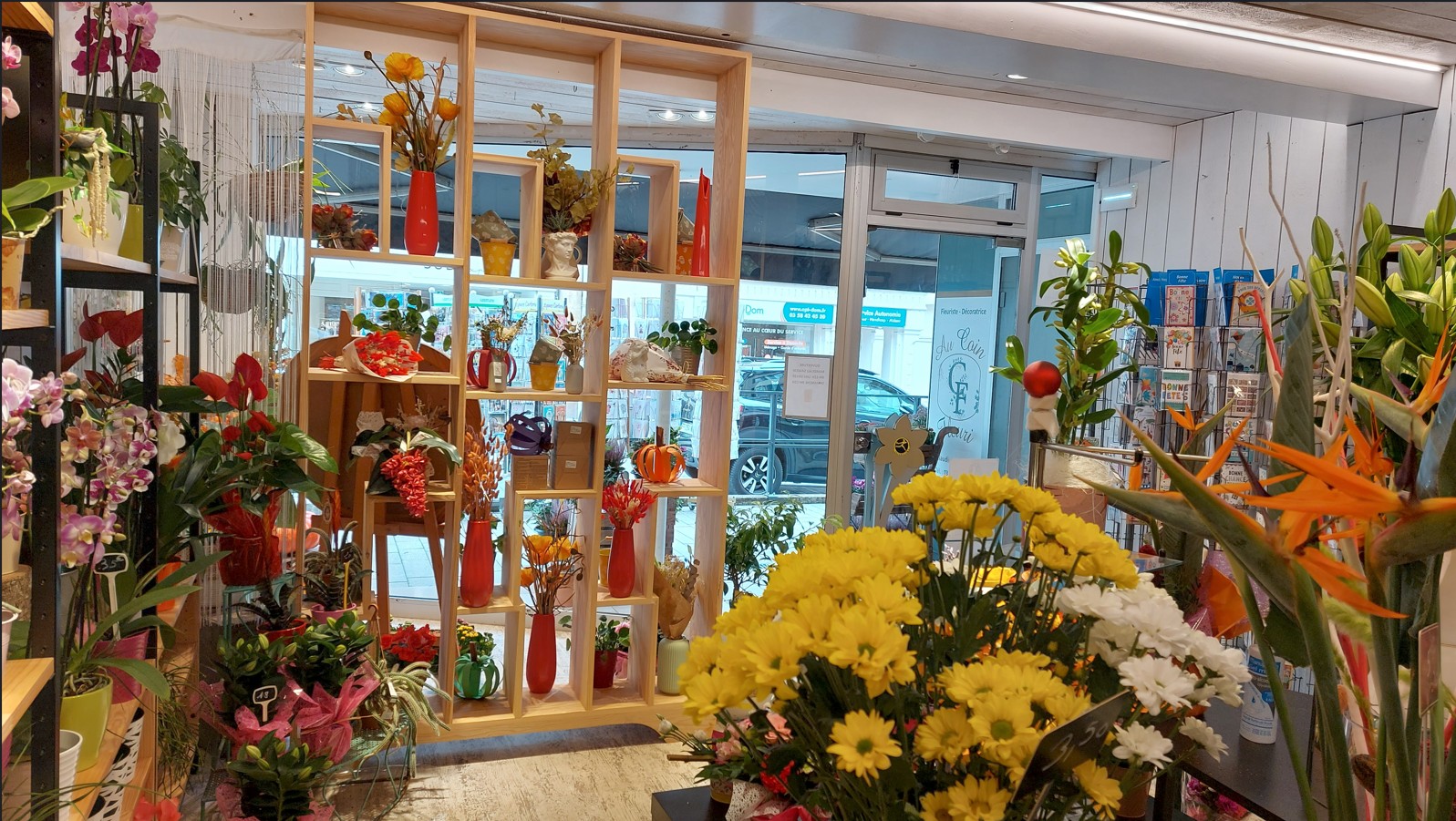 Vous êtes fleuriste, passionné(e) et à la recherche du commerce idéal ? N'hésitez plus et étudiez cette annonce faites pour vous !
Au coeur de la ville de Paray-le-Monial, riche d'un patrimoine patrimonial et spirituel, où le commerce de proximité qualitatif est plébiscité et valorisé en permanence, ce commerce vous attend !
 Rénové totalement en 2022, c'est un outil de travail au CA confortable, très positif et en constante évolution. L'installation, juste à côté d'une très belle boulangerie-pâtisserie et salon de thé, a renforcé son développement et attractivité, encore récemment.
Le commerce se compose ainsi :
- une belle vitrine et un espace extérieur aménagé,
- 45 m2 d'espace de vente climatisé,
- 1 atelier de plus de 15 m2 avec point d'eau et toilettes,
- 1 cave de 45 m2, naturellement tempérée et aménagée, idéale pour le stockage lors des temps forts (Toussaint, Noël, Fête des mères ..
- 1 cour extérieure attenante et accessible également par le côté du bâtiment.
C'est un magasin charmant, empli de fleurs fraiches, de plantes extérieures et intérieures, de petite déco et parfums d'intérieur, d'une offre qualitative de carterie.
Une offre plurielle qui a séduit une clientèle exigeante et très fidèle. 
Une salariée d'expérience accompagne la gérante passionnée depuis plus de 12 ans et sera un appui lors de votre reprise.
C'est une belle affaire à reprendre, source de revenus au sein d'une ville et territoire où il fait bon vivre et où les produits de qualité sont plus qu'appréciés !
Tradition, savoir-faire et modernité sont les atouts de cette proposition ! 
Alors n'hésitez plus et contactez-nous ! Plus de photos sur demande.