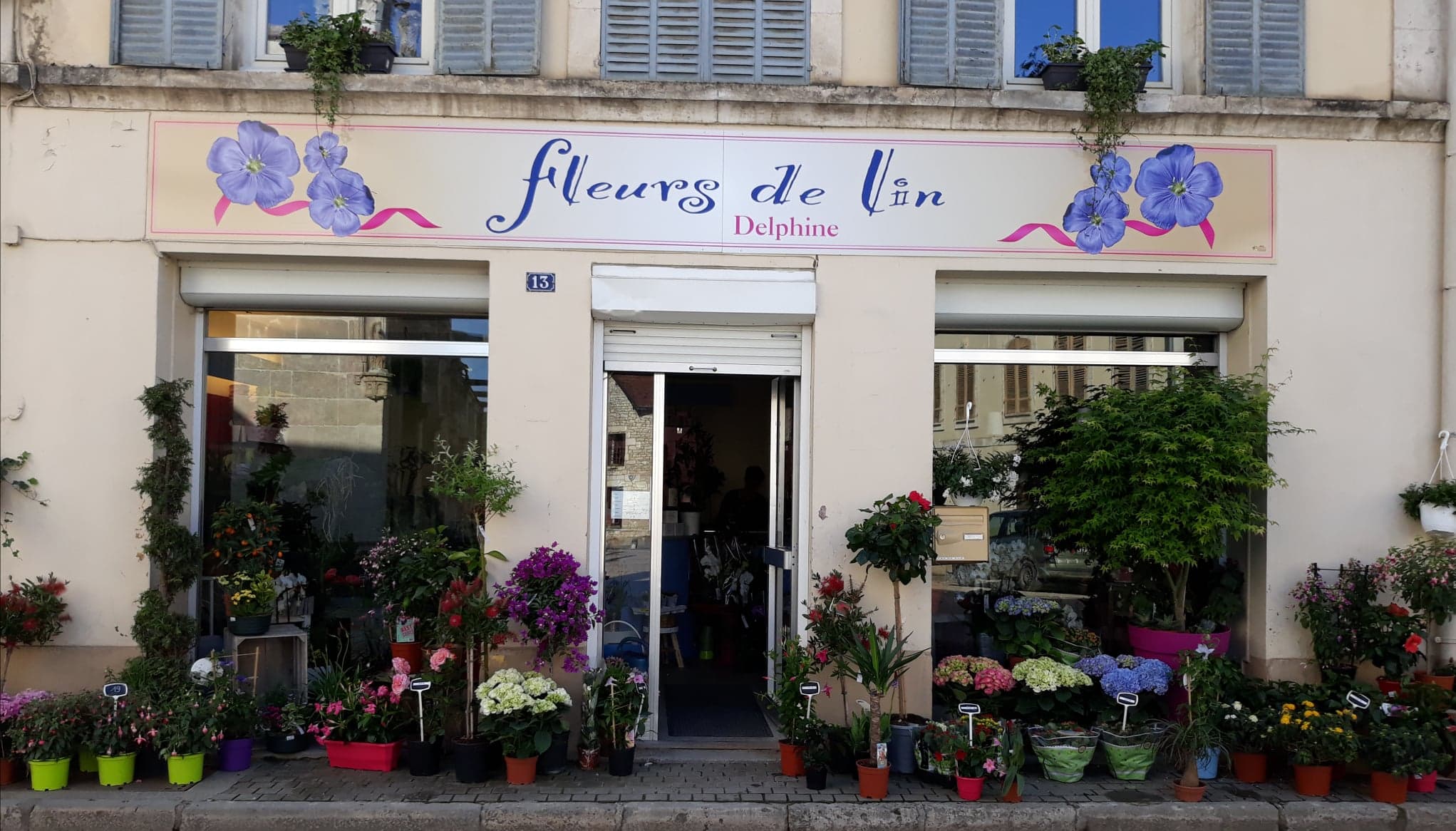 Dans gros village viticole, vends fond de commerce de fleurs avec tout son matériel prêt à fonctionner. Surface de vente 35 m2, vitrine 6 mètres linéaires plus trottoir et parvis, chambre froide de 9m3, dépendances de 100m2 avec petite cour intérieure et cave voutée. Stock d’une valeur de 15000 euros compris dans le prix de vente. Très bonne clientèle fidèle depuis 13ans, CA 2024, 135 K€ à développer. Loyer du magasin 300 €. Appartement de 80 m2 au dessus avec un loyer de 200 €.
Possibilité de changer la destination de l’activité.