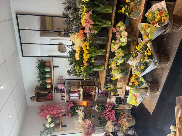 Vente pour cause de santé commerce de village