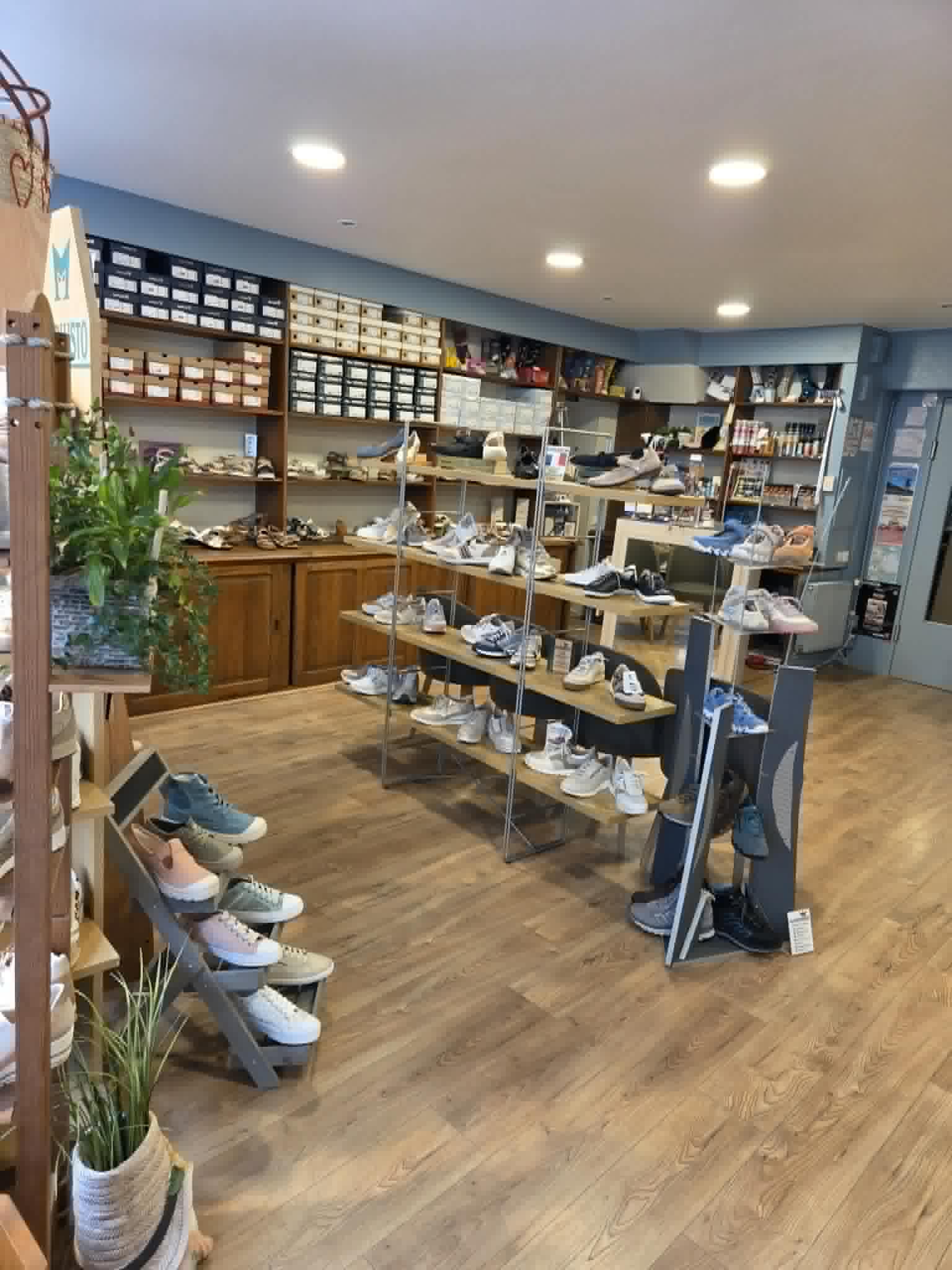 C'est ici une affaire de famille qui vient de fêter ses 125 ans d'existence dans le monde de la chaussure.
Dans une jolie ville (finaliste au plus beau village de France et plus beau marché de France), la boutique profite d'une belle exposition dans une rue passante, avec 3 grandes vitrines.
Magasin généraliste et multi marques, nous chaussons toute la famille .
60m² de vente, 3 belles vitrines sur 18m de trottoir... Et 150m² de réserves et bureau.

Possibilité d'acheter les murs