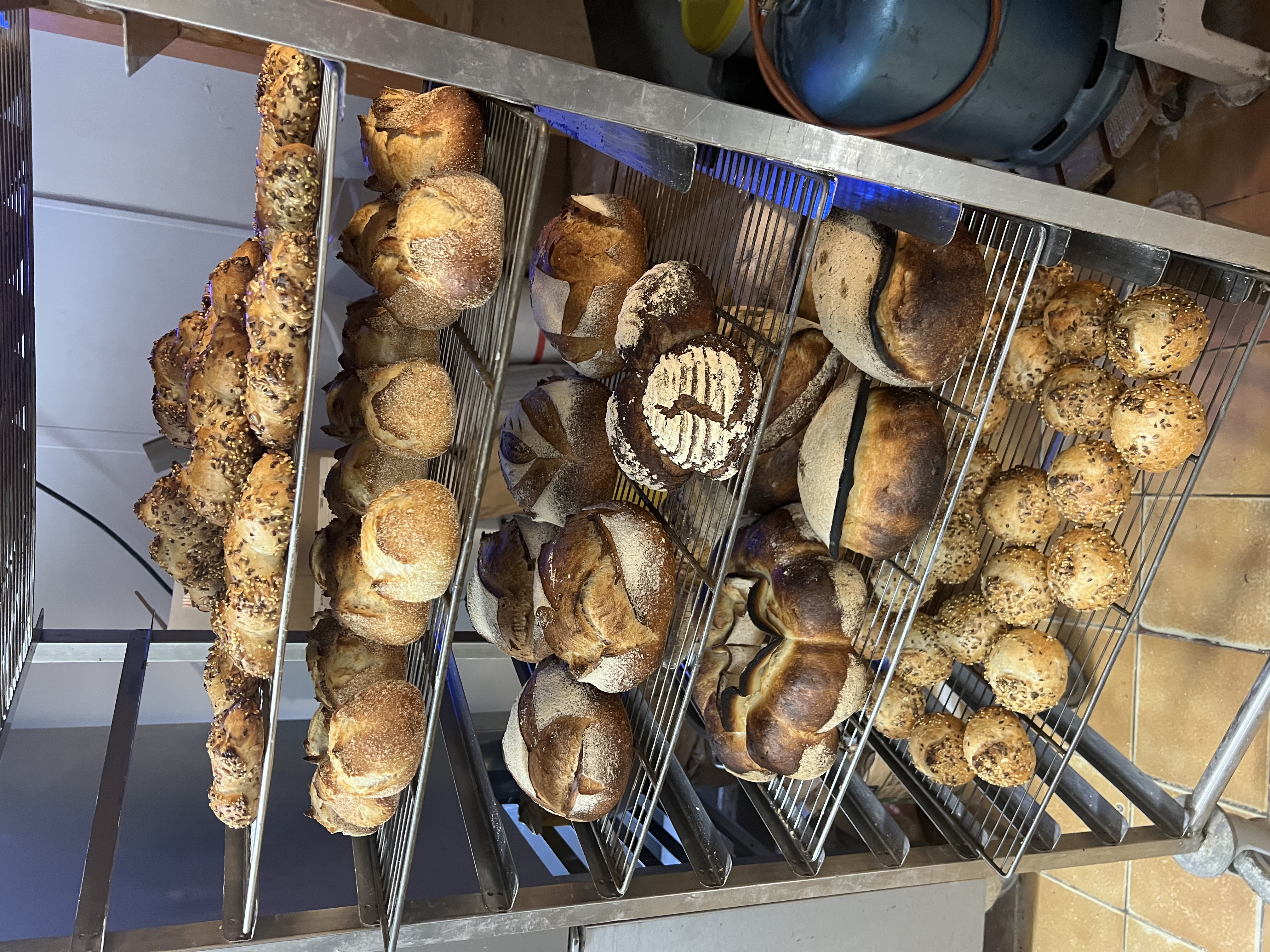 Sur la D940 à 5 minutes des célèbres falaises d’Etretat nous vous proposons notre boulangerie pâtisserie installée au centre d’un village dynamique avec les commerces de proximité, d’une pharmacie, de plusieurs artisans du bâtiment, d’un camping 5* , d’un parc accro branche et d’un vélo rail.  La dynamique du secteur se divise en trois clientèles différentes en fonction de l’année vous régalerez les locaux, la clientèle parisienne appréciera vos produits pendant les week-ends et les fériés et la clientèle touristique étrangère consommera avec gourmandise les spécialités. Le laboratoire et le fournil sont équipés d’un matériel récent .   Au dessus vous pourrez jouir d’un logement confortable et vaste. Cette affaire est toujours en évolution et conviendra à des professionnels motivés et passionnés par la fabrication de qualité.