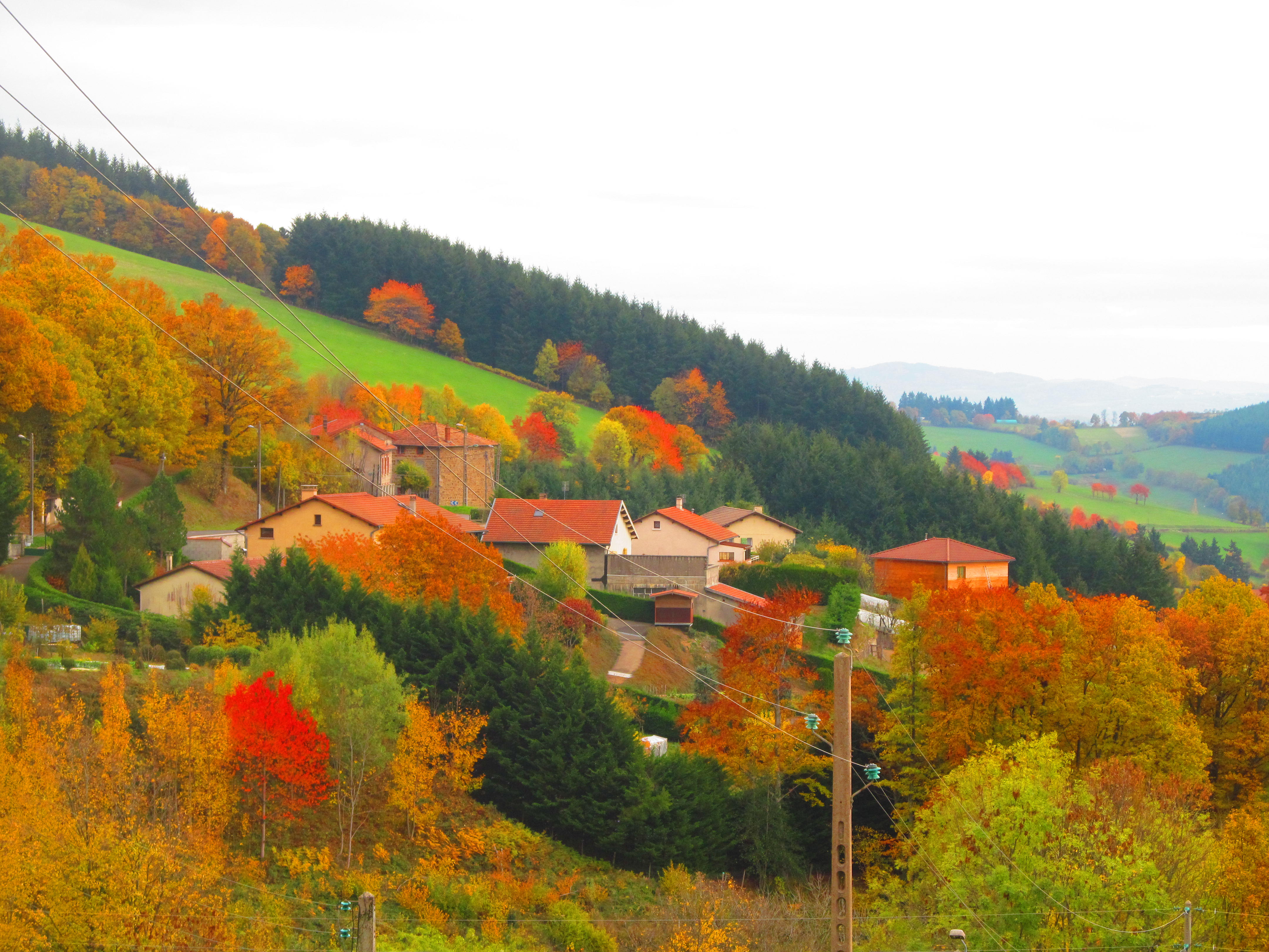 La mairie de VIOLAY RECHERCHE
Deux kinés pour sa maison médicale.
Située entre Loire et Rhône, à 10 km du péage de Tarare sur l’A89, à 30 mn de Lyon et Roanne et 45 mn de St Etienne, Violay est labellisée Station Verte et Village Sport Nature. 
Avec ses 1.300 habitants, et forte de ses 550 emplois, elle rayonne sur les villages alentours grâce à son dynamisme commercial et touristique : Boulangerie, multi-service, bar, point poste, deux banques (CA avec DAB et CE), fleuriste, marchand et fabricant de chaussures, mais aussi pharmacie, médecin, podologue, orthopédiste, infirmiers, clinique dentaire, un EHPAD de 55 résidents. 
De nombreuses activités sport nature accueillent les visiteurs (Station trail, parc aventure, sentiers sportifs, GR7, aire parapente, VTT descente, etc..)
La maison médicale offre un ensemble idéal, avec bureaux, salle de soin et salle d’attente d’un côté, et plateau de 70 m² de l’autre, pour l’installation confortable de deux kinés.  
Loyer très attractif.
Pour tout renseignement, prendre contact au 0474639092.
www.violay1004.fr