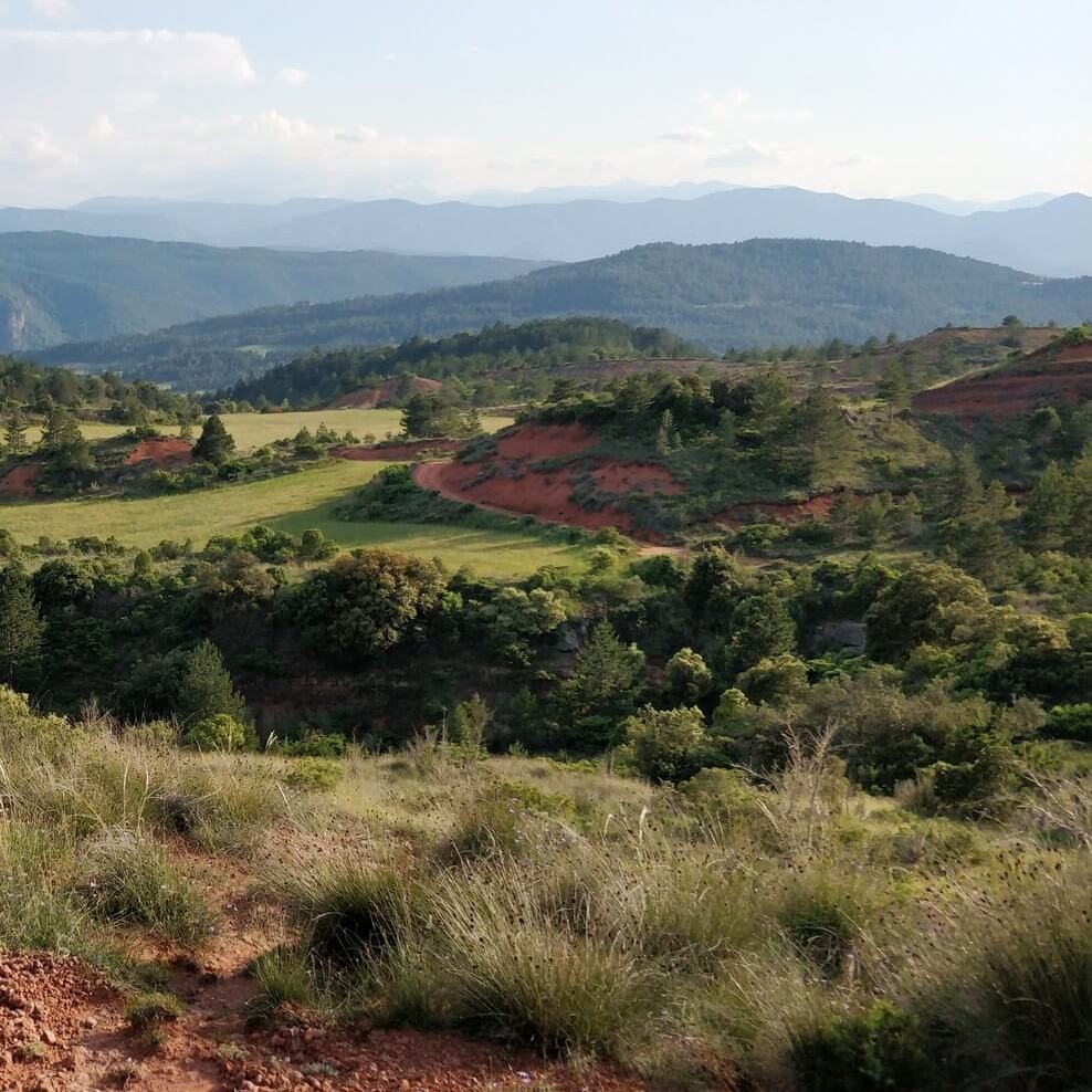 Le Café de Serres (11 190) en Haute-Vallée de l'Aude cherche repreneur-se, pour un nouveau départ !

Au cœur du pays Cathare entre Corbières et Pyrénées, ce secteur touristique offre de nombreuses activités : thermalisme, randonnées, gastronomie occitane et catalane, route des vins, histoire romaine, cathare et templière, spéléologie, escalade, sports en eaux vives, forteresses royales…

Depuis 2009, le Café de Serres a accueilli concerts, spectacles de théâtre ou cabaret, scènes ouvertes, apéro-concerts, conférences, expositions et soirées conviviales ou débats à thème : une cinquantaine d’événements par an, pour une jauge de 70 en intérieur et 150 en terrasse.

Les principales surfaces exploitables sont : la salle café-restaurant avec sa belle cheminée et un espace bar 75 m², la terrasse 120 m², la cuisine professionnelle équipée et fonctionnelle et ses annexes 40 m².
Proche du lac et du château d'Arques, le bien comporte au premier étage un hébergement de 3 chambres qui peuvent être exploitées en chambres d'hôtes pour une capacité de 8 couchages et au deuxième étage un espace privatif de 60 m².

Le site dispose également d'une terrasse ombragée, d’un bel espace de verdure et d’un potager bio avec son accès à la rivière.
La licence IV et le matériel professionnel sont compris dans le prix de vente.

Dans le cas d'une reprise d'activité en programmation artistique, nous pouvons vous accompagner afin de faciliter la reprise.

Idéal pour des personnes en quête de changement professionnel et de grands espaces !