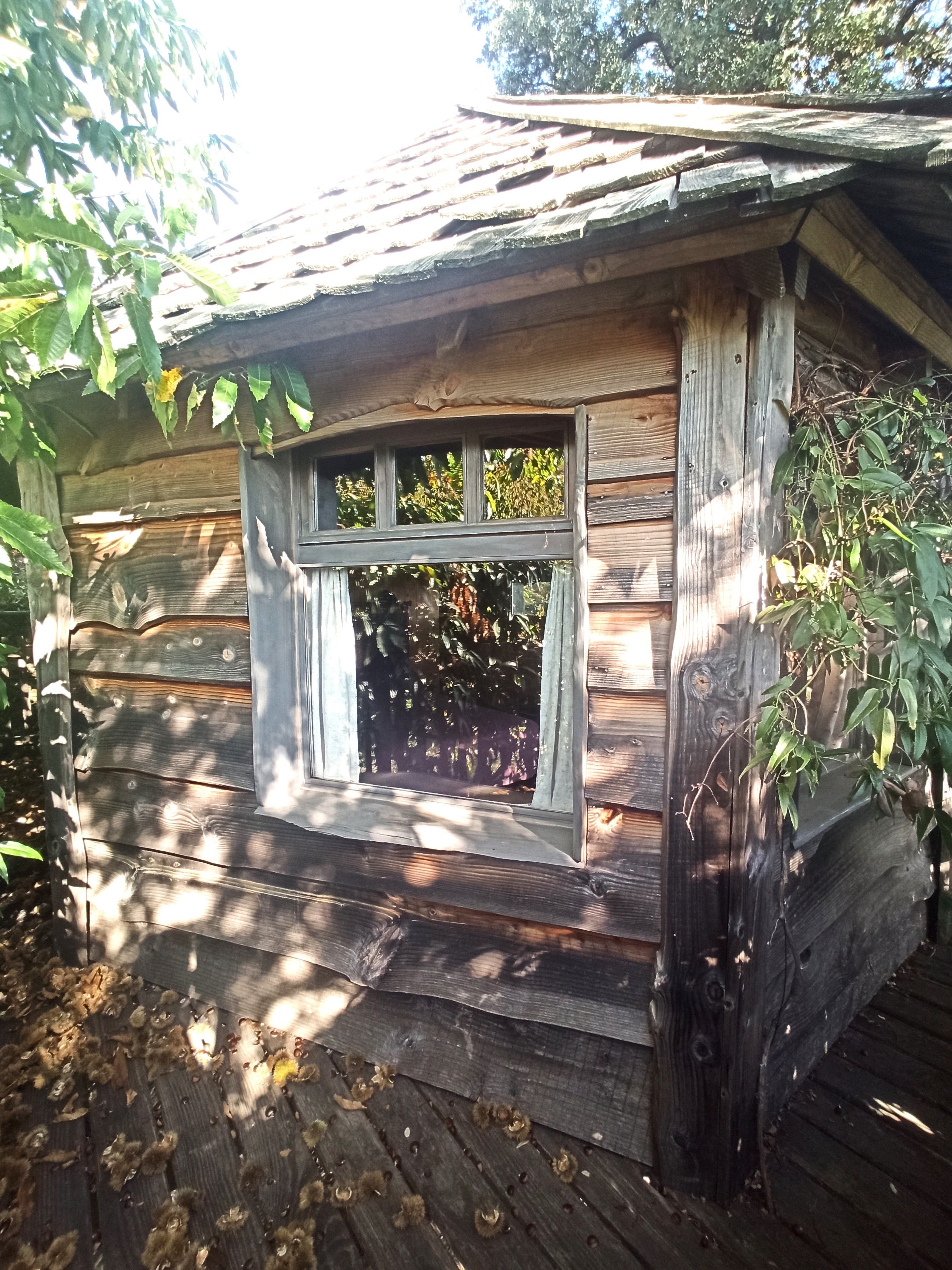 Dans les Cévennes, nous trouvons à l’intérieur d’un hameau en sommet d’un versant exposé plein sud, une cabane perchée, nichée dans un châtaignier et un chêne vert centenaire. Et sur la crête, au-dessus de ce hameau, un dôme en bois. Ses grandes fenêtres, donnent le jour une vue imprenable sur les Vallées et la nuit offre un spectacle étoilé. 
La cabane perchée de 20m², construite en 2010, permet d’accueillir deux adultes + (1 adulte ou 2 enfants). La salle d’eau (WC et douche) est à l’intérieur.
Construit en 2015, le dôme de 15 m², peut accueillir deux adultes, les sanitaires sont à l’extérieur (toilette sèche et douche solaire).
Les clients de ces deux logements insolites se réunissent autour du repas, le soir sur la terrasse du mas, ils partagent un moment convivial avec les hôtes des deux chambres d’hôtes. 
Situées au sein d’une grande bâtisse, les chambres d’hôtes de 32 et 25m², distribuées autour de la cour intérieure, peuvent accueillir chacune deux adultes et deux enfants, elles disposent de salles de bain et de WC privés indépendants. Elles ont des accès directs sur l’extérieur.
Ce mas cévenol, datant de 1807, en pierre de schiste des Cévennes comprend une habitation principale de 110 m². Elle est composée d’une pièce à vivre avec cheminée, une cuisine ouverte, une salle de bain et Wc, sur 45m². 
Les escaliers en pierres, nous mènent dans une grande pièce à vivre de 48 m² (aménagée en chambre et en bureau) et attenante une chambre de 17 m². La toiture et l’isolation ont été refaite en 2021.
La bâtisse dispose d’une buanderie qui a été récemment aménagée, un cellier, une cave voûtée, une entrée, un Wc indépendant et une pièce de 37m² reste à aménager
Au rez-de-chaussée une entrée/salle de billard conduit soit à la cour intérieure, soit vers les 2 caves dont une est voûtée (17, 15 et 20m²).
Devant le mas une ancienne étable de 32m² comprenant elle aussi une cave voûtée de 14m² est ouverte à vos projets….
La citerne de récupération des eaux de pluie en toiture et le four à pain en pierre datent de la construction du mas.
Le terrain en terrasses de pierres sèches, arboré de plus de 5 000m² est composé d’arbres fruitiers et d’un potager entretenu. Ces fruits et légumes permettent de concocter de savoureux plats proposés lors de la table d’hôtes, et permettent de servir des petits-déjeuners vitaminés, sur la terrasse ombragée, avec une vue exceptionnelle sur les Vallées.
Le parking privé de 10 places, permet de recevoir les clients véhiculés. Le mas, ouvert d’avril à octobre, accueille principalement des familles, des amoureux des Cévennes et des randonneurs, cyclistes et des personnes en recherche de calme propice à de nombreuses activités.
Les Cévennes lozériennes sont réputées pour leurs grands châtaigniers, pour leurs routes étroites et sinueuses, pour leur tranquillité…. Eloignés de la ville et du bruit, les clients apprécient le calme et la douceur de ce lieu.
Référence : L0460