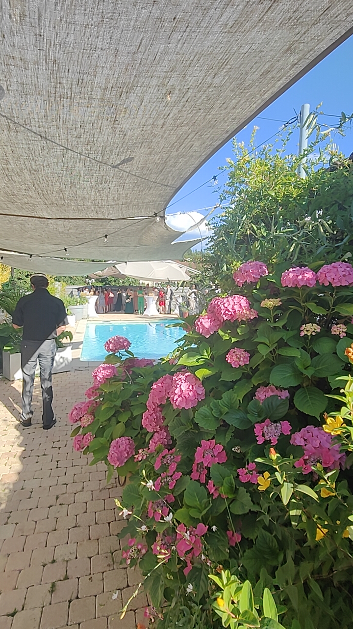 Restaurant à fort potentiel 

Opportunité rare à ne pas manquer !
Ce restaurant de charme est proposé à la vente.
Idéalement situé à 1 h de Genève et une heure de Lyon , cet établissement bénéficie d’une belle notoriété locale, d’un emplacement de qualité et d’une clientèle fidèle.

Le restaurant dispose de :

*Une salle de restauration chaleureuse .
*Un four à bois à pizzas 
*Un bar idéal pour événements, soirées...
*Une très grande terrasse clôturée avec piscine creusée 
*Un grand logement de 120 M2 avec 4 chambres.
*Une grande cuisine professionnelle .

Licence IV

Un potentiel de développement important pour un repreneur motivé

👉 Une belle affaire à relancer, prête à redémarrer rapidement !

Renseignements et visites uniquement auprès du mandataire judiciaire en charge du dossier.
SELARL MJ Synergie 
Coordonnées envoyés sur demande par mail.