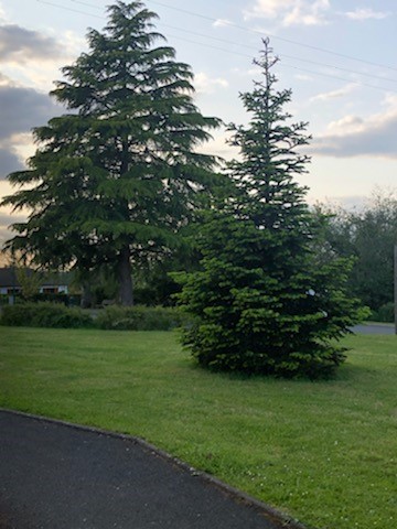 Cède salon de coiffure situé au coeur d `` un bourg rural a 10 minutes de VIERZON dans un bel  écrin de verdure.

 Clientèle mixte (femmes. hommes. enfants .bébés) fidèle et agréable.

Local lumineux de 37 m2 en bon état (peintures refaite )+ réserve. 

Parking client gratuit

2 bacs 4 postes de coiffage 
matériel et mobilier en bon état.

Pas de salaries à reprendre ..


Loyer annuel 1891 euros  (mairie propriétaire des murs).

CA moyen des 5 dernières années  : 50k.

Possibilité d `` accompagnement
prix  négociable
