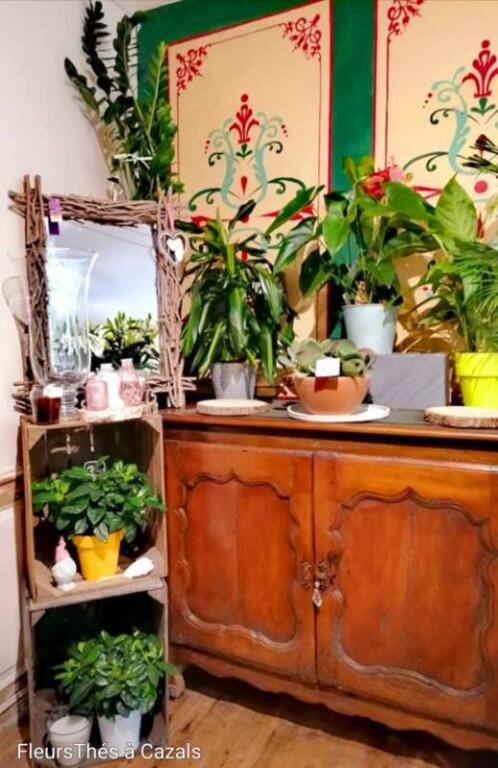 A vendre Fond de commerce fleuriste dans le Lot 
Je prepare ma retraite 
Dans charmant village dynamique dans le Lot entre Quercy et Périgord
Zone économique et touristique attractive (nombreux commerces et artisans dans la zone )
En plein centre de la Bastide  de Cazals 46250 sur la place du village  devant une place animée et  nombreux stationnements disponibles.
Joli  commerce  dans une maison de village  4 pièces +wc+point d eau 
Cave de stockage  avec accès discret dans ruelle arrière
Belle terrasse arrière plein sud (idéal pour activité secondaire.. salon de the, déco extérieure )avec tonnelle vigne ….
Commerce ayant une très bonne clientèle, fidele, ayant beaucoup de gout … tenu  par fleuristes diplômés, créateurs ayant une bonne cote.
Adhérent Interflora-Florajet-Agat 1.2.3 Fleurs-Agitateur Floral.
Plates formes Floristiques amenant de nombreuses commandes
Réalisations pour Naissances,  événements de la vie, mariages, deuils,  objets de décorations, 
Tres bonne relations avec pompes funebres locales
Idéal pour couple dont un est fleuriste…..un lieu de vie et de travail très agréable 
Prix du Fond de commerce 20000€
Poss d acheter les Murs : Local commercial +à l étage un appartement  à Rénover de 4 pièces  avec accès indépendant  depuis la Rue.