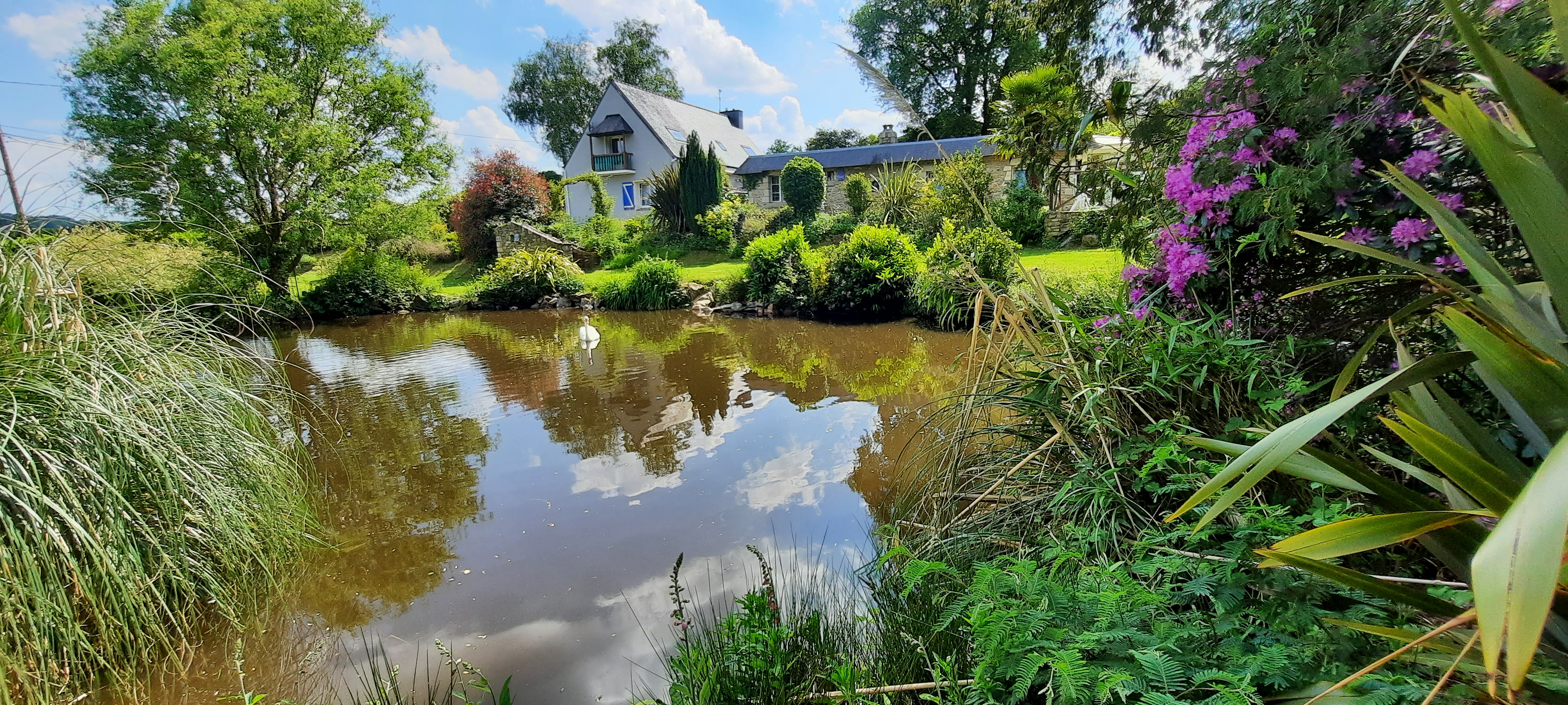 Situé sur la commune de Plumelin à 25min de Vannes et 30min de la mer. Proche commerces écoles, collèges et lycée. 
Ensemble de trois maisons sur un parc arboré et paysagé de 9000m2 environ, avec deux étangs, terrain de boules, piscine chauffée et couverte par un dôme. 
La maison principale est divisée en deux appartements. Le rdc est actuellement loué en gîte 6pers.avec terrasse et entrée indépendante. 
Au premier étage un appartement (propriétaire) terrasse ,véranda et entrée indépendante. 
Un gîte 6pers. Avec véranda et terrasse .
Un troisième gîte pour deux personnes au premier étage d'une petite maison. Au rdc se trouve le local technique de la piscine ainsi qu'une buanderie avec machines à laver. 
Tous les logements ont été rénové en totalité et moderne.
Bonne rentabilité locative .
Je reste à votre disposition pour tous renseignements complémentaires.