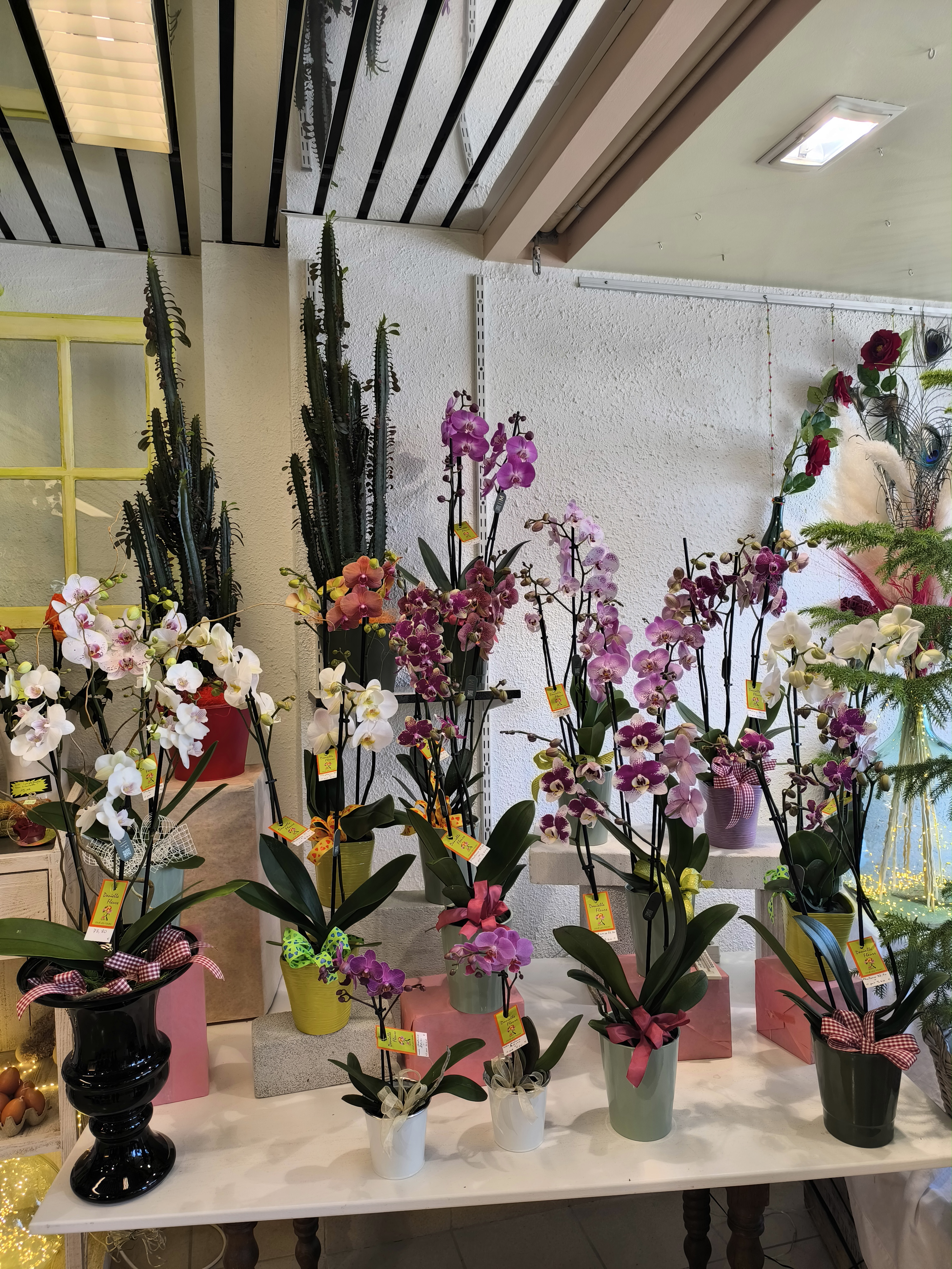 A VENDRE
 Fonds de commerce fleuriste(39 ans-interflora)
Dans le 37
Deuxième ville du département 

Idéalement situé en centre ville 
Zone bleue.place  commerçante (boulangerie,boucherie,maison presse,primeur, caviste, pharmacie,cordonnier...
Tram, église,hôtel de ville à 50 mètres du magasin.
et face à l'hôtel de police

Situé en périphérique  de Tours.

Bail neuf
Logement type 4
Très bonne rentabilité 
Belle qualité de vie. 
Congés 3 semaines
Sans employé 

Magasin 80m2
Atelier     50m2
Garage.   50m2(possibilité de rentrer un expert,trafic...)
Prix et informations sur demande 
Contactez -nous pour plus d'informations