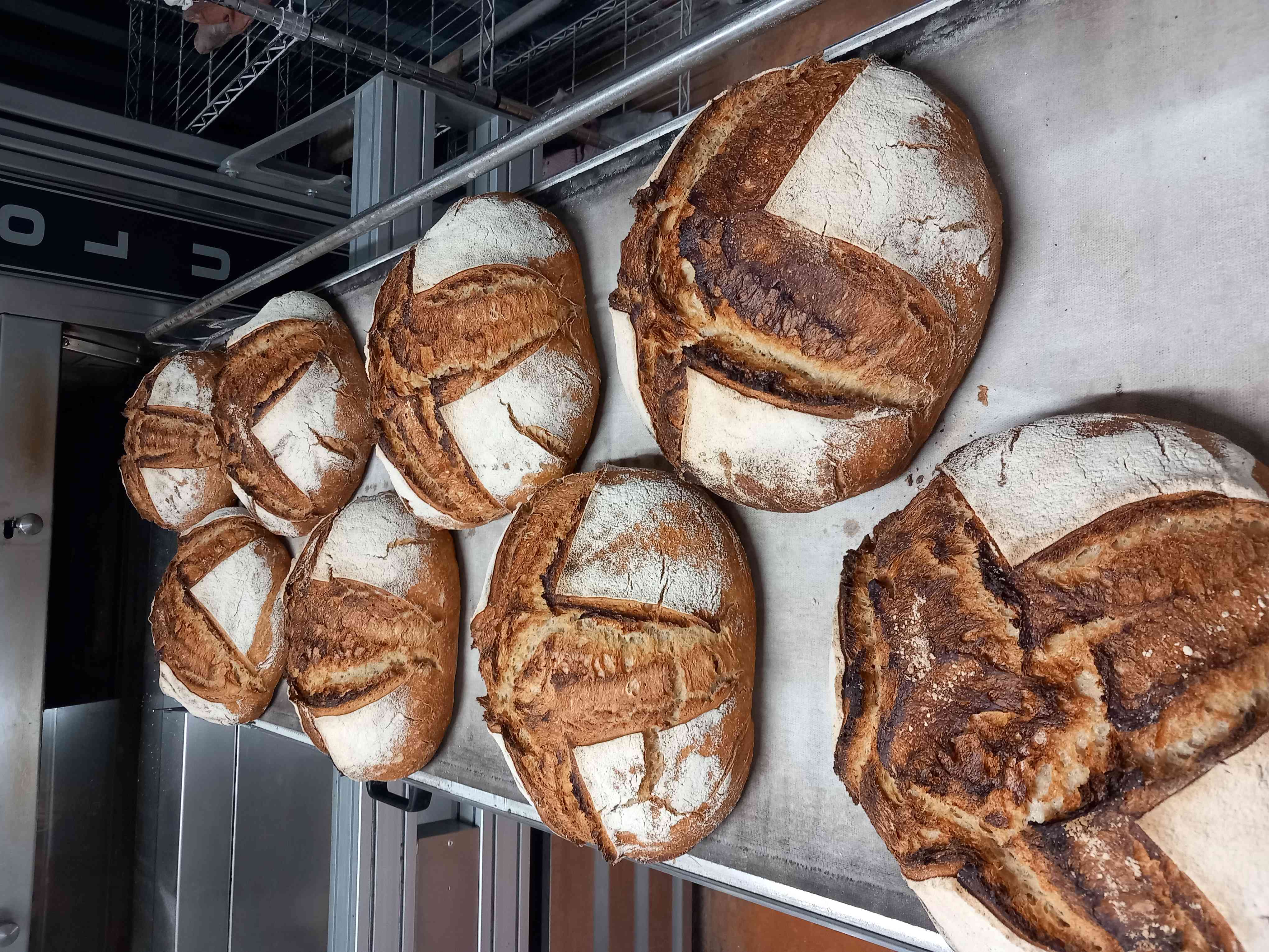 L’Earl Le Chant du levain à Vierzon (2co-gérants et un salarié) a créé et développé un fournil de boulange paysanne bio avec panification au levain de céréales dites anciennes ou de terroir. (froment, épeautre, engrain, seigle)

L’heure de la retraite approchant (1er semestre 2027) nous souhaitons préparer la transmission de notre activité à des repreneurs s’inscrivant dans les valeurs que nous  avons portées et qui saurons a leur tour exprimer leur personnalité.

Ils bénéficieront d’un capital confiance auprès de tous les clients et partenaires (commercialisation et fournisseurs). Le salarié présent maîtrise toute la partie production et possède un savoir faire en pâtisserie.

Pour bien fonctionner, 3 équivalent temps plein sont nécessaires et permettent un temps de travail raisonnable.

Nous produisons environ 1100 pièces variées par semaine hors viennoiseries représentant environ 600 à 650 kg de pains vendus sur 3 marchés, des fermes, magasins de producteurs, amap etc..