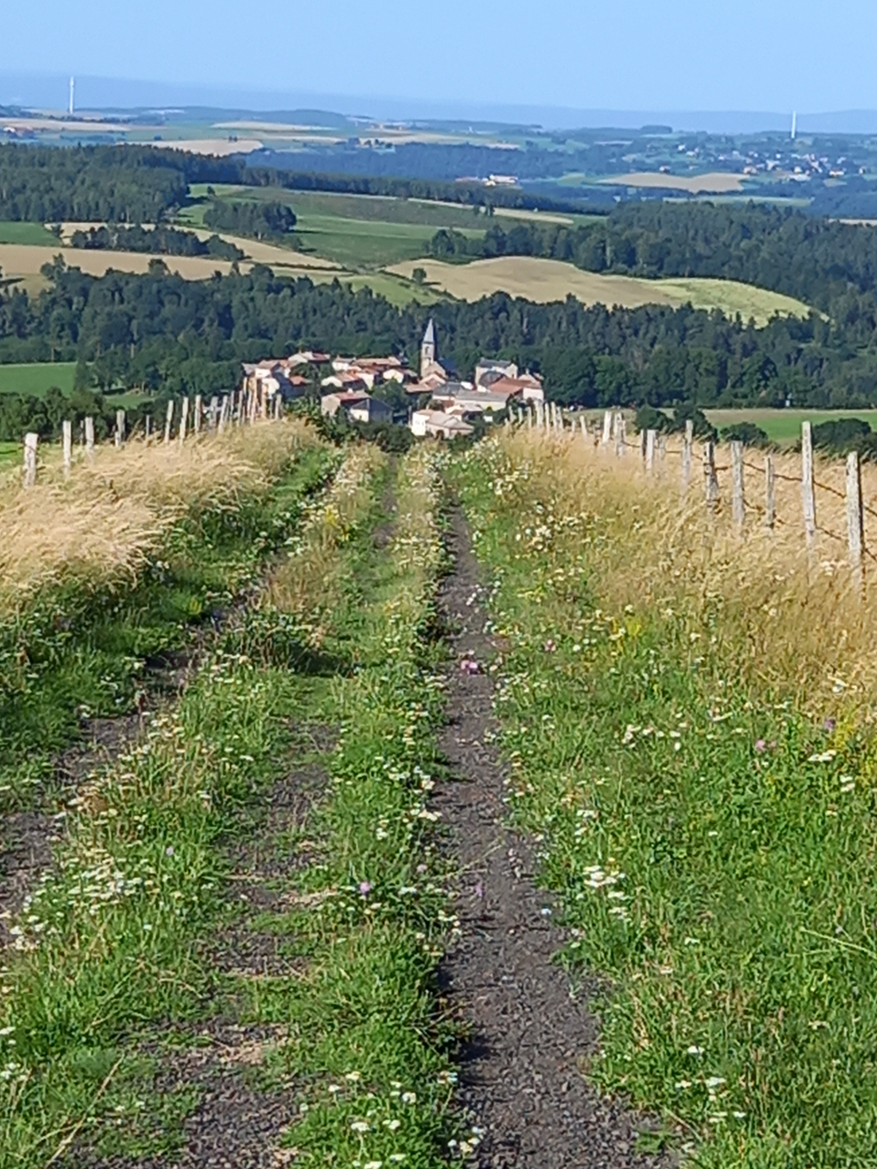 Envie de ruralité, Le Cantal vous accueille !!!
Une opportunité à Vieillespesse (15500) avec la création d'un commerce convivial.
Vous souhaitez gérer une auberge ?
Voilà une superbe idée pour commencer une nouvelle vie : au cœur des grands espaces Cantaliens, à proximité de l'autoroute A75 et dans une commune rurale motivée par l'accueil de nouvelles activités et située à 15 mn de Saint-Flour, 50 mn de Clermont-Ferrand.
Ce futur lieu entièrement rénové sera doté d'un bar, d'un petit restaurant avec un bel espace terrasse extérieur, d'un logement de fonction et de 3 chambres d'hôtes dans un beau village situé à mn d'un échangeur autoroutier.
Conditions d'accueil très attractives et une exploitation possible en multi-activités de type tiers lieu, multi services ... Un espace d'échanges et de convivialité ! A noter, la mise à disposition du four banal communal situé juste en face pour des occasions particulières ....modalités de candidature et contacts sur le site : www.vieillespesse.fr