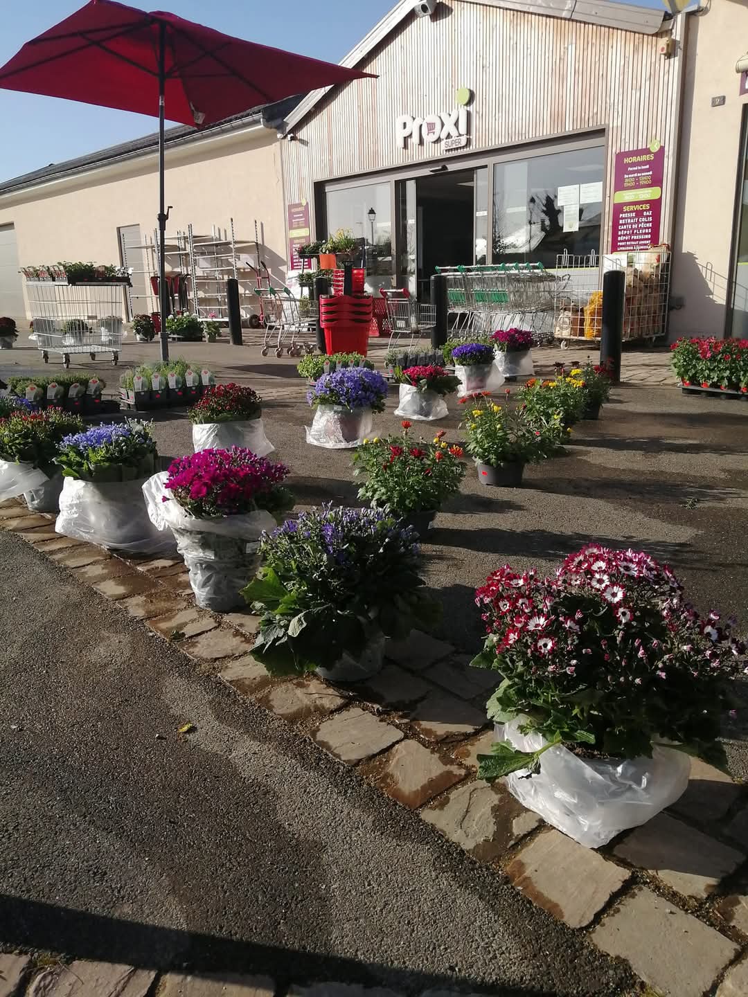 Suite à départ en retraite, vente d un fond de commerce d une superette alimentaire , dans une petite cité de caractère en Mayenne .

SURFACE DE VENTE 226 M2 , AVEC RESERVE ET BUREAU
AU NORMES 
C A  / 400 000 EUROS
LOYER 1 000 EUROS HT
Presse , dépot boulangerie et pressing , pont relais et point argent , gaz , fleurs plants , livraison à domicile , possibilité  boucherie traditionnel (zone créé).
Locaux  presque neufs (création nil y à 4 ans) , 
Possibilité  de vente des murs  et vente de logements , si besoin.
PAGE  FACEBOOK : proxi saint-denis-d'anjou