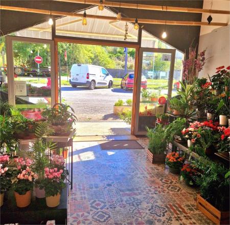 𝐒𝐮𝐢𝐭𝐞 𝐚̀ 𝐮𝐧 𝐝𝐞́𝐬𝐢𝐬𝐭𝐞𝐦𝐞𝐧𝐭 𝐩𝐨𝐮𝐫 𝐫𝐚𝐢𝐬𝐨𝐧 𝐟𝐚𝐦𝐢𝐥𝐢𝐚𝐥𝐞 𝐦𝐚 𝐛𝐨𝐮𝐭𝐢𝐪𝐮𝐞 𝐞𝐬𝐭 𝐭𝐨𝐮𝐣𝐨𝐮𝐫𝐬 𝐚̀ 𝐯𝐞𝐧𝐝𝐫𝐞. 𝐓𝐫𝐞̀𝐬 𝐛𝐨𝐧𝐧𝐞 𝐚𝐟𝐟𝐚𝐢𝐫𝐞!

MONTCUQ (46800)

Après des années de passion et de dévouement, je m'apprête à prendre ma retraite et à passer le flambeau de ma boutique de fleurs.

Cède fonds de commerce fleuriste, établi depuis 2006. Bénéficiant d'une excellente réputation, ce commerce bénéficie d'une clientèle fidèle et d'un emplacement stratégique sur un axe passant sur la commune de Montcuq (46)

Le local sur 60 m², avec une mezzanine de 20 m² offrant un espace supplémentaire pour l'exposition de produits ou le stockage est en parfait état et dispose d'un parking facilitant l'accès. Le matériel entretenu permet une reprise clé en main.

Activité fiabilisée qui assure un chiffre d’affaire stable depuis plusieurs années. L’exploitation est porté par la seule gérante.

Une opportunité idéale pour reprendre une entreprise saine, où vous pourrez exprimer votre savoir-faire et votre créativité.

Le fonds est cédé sans aucun contrat salarié en cours

Accompagnement possible par la cédante, par la Chambre des Commerces et de L'Industrie et par la Chambre des Métiers et de l'Artisanat.

Amis(es) fleuristes, si vous vous voulez changer d'air, ouvrir une seconde boutique, vous êtes salariés (ées) et vous voulez voler de vos propres ailes, ma boutique est la vôtre.
Prix très intéressant à débattre
Pour plus de renseignements veuillez me contacter

Téléphone : 0565229641 ou 0685157976