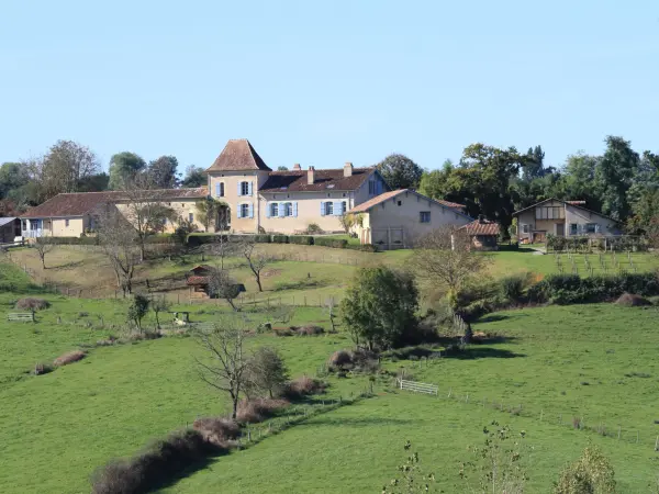 Vous avez un projet commercial ? Venez le développer au cœur de la Commune !

La ville de Montfort-en-Chalosse, vous propose de louer un local commercial, entièrement remis à neuf, en plein cœur du village, dans la Grand’Rue, rue principale de la bastide avec un parking à proximité immédiate.

L’ambition de la commune à travers cette opération est de conforter l’attractivité et de diversifier l’offre commerciale de son centre-ville.

La commune de Montfort-en-Chalosse permet à un commerçant de s’installer en cœur de village, au 69 de la Grand Rue, face à un tapissier en ameublement et non loin d’une pharmacie, d’une banque, d’une boucherie, d’une boulangerie et d’un vendeur et réparateur d’électro-ménager. Un marché hebdomadaire se tient le mercredi matin à moins de 100 mètres du local commercial disponible.

La commune dans son rôle de bailleur, propose une installation aux conditions optimales : bonne visibilité sur site et loyer de lancement d’activité minoré pendant 1 an.

LE CONTEXTE DE L’APPEL A CANDIDATURE

Le descriptif du local commercial du 69 Grand Rue :

· 43 m² de surface de vente + 25 m² de réserve/bureau/sanitaire/ dégagement,
· Local livré brut de tout aménagement
· 4.5 m de linéaire de vitrine
· Enseigne soumise à autorisation administrative
· Bail commercial 3-6-9 dit classique avec un prix de loyer fixé à 550 € mensuel, indexé selon l’indice du coût de la construction publié par l’INSEE ou l’indice trimestriel des loyers commerciaux (ILC). Le loyer sera minoré à 400 € par mois durant les 12 premiers mois de lancement de l’activité, soutien manifeste de la commune à la revitalisation commerciale de la Grand’Rue
· Pas de droit d’entrée ni de pas de porte.
· Les consommations d’eau et d’électricité ainsi que la TEOM seront à la charge du candidat retenu. Ces locaux sont également soumis à la cotisation foncière des entreprises (CFE).

LE PROFIL DES CANDIDATS RECHERCHES :

Un porteur de projet commercial en recherche d’un local en centre-ville pour développer et pérenniser une activité complémentaire.

Cette nouvelle activité ou nouveau concept confortera l’offre commerciale du centre-ville.

CONSULTEZ L'APPEL A CANDIDATURE :

https://www.montfort-en-chalosse.fr/Notre-village/Agenda-et-actualites/Les-actus-du-village/APPEL-A-CANDIDATURE-69-GRAND-RUE