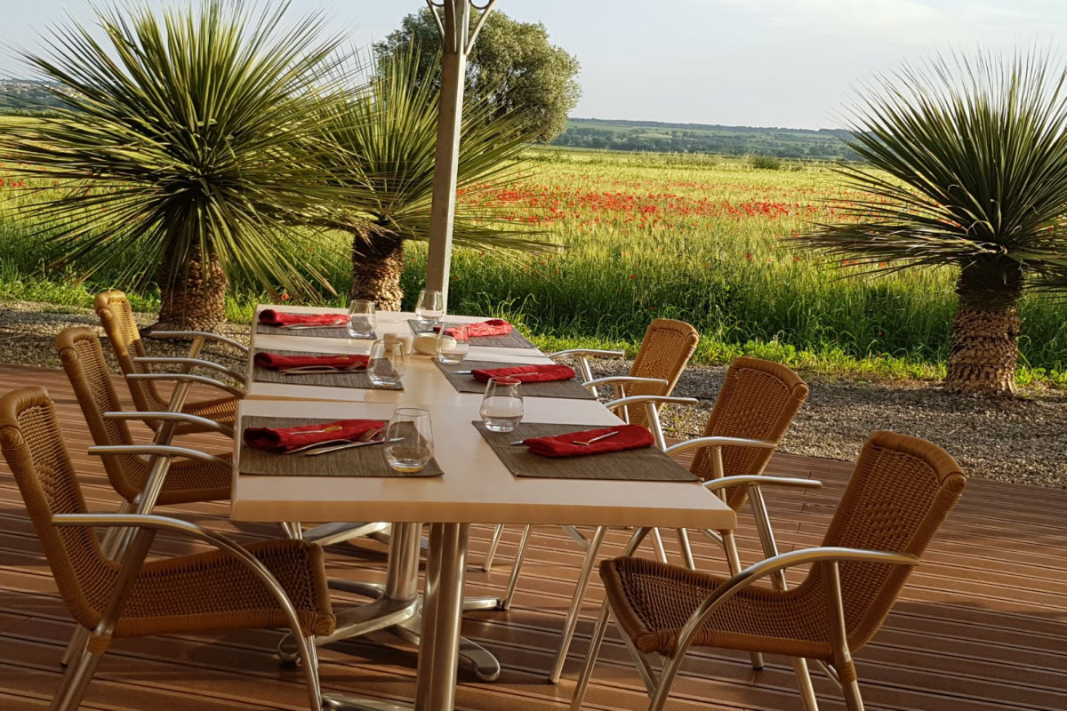 Restaurant traditionnel semi-gastronomique, L'Asparagus, bénéficiant de deux grands parkings de 18 et 12 places, d'une capacité de 48 places intérieures et 50 places en terrasse.

Le restaurant et la terrasse offrent une vue dégagée sur la vigne des côtes de Thongue sans vis-àvis sur l'axe principal Béziers-Pézenas (N9) à Valros.  A l'entrée d'un typique village héraultais immanquable sur votre droite, la jolie façade ocre contraste avec la couverture beige de la terrasse en bois.

Le restaurant existe depuis 2008 et est géré par le cédant depuis 2012.  Il bénéficie d'une excellente notoriété auprès de la clientèle locale et touristique.  La clientèle fidèle et régulière constitue la grande part du chiffre d'affaires. 

Le repreneur qui s'inscrirait dans la continuité de l'actuelle gérance ne manquera pas le succès jamais démenti, acquis par Laurence et Pascal Beckendorf sur une plage d'exploitation offrant deux jours de fermeture hebdomadaire de l'établissement.

Le loyer (libre de droit de terrasse) est de 1598 ? pour un bâtiment récent de 2007 d'une surface climatisée de approximativement 170m².  La cuisine est entièrement équipée de matériels professionnels de qualité très bien entretenus.

Les chiffres sont bien entendu à la disposition de tout candidat.  On peut néanmoins énumérer les grandes données ci-après :
- exploitation en nom propre (Mr et Mme) + 2 salariés
- CA moyen supérieur à 250k? ht confirmé en moyenne mensuelle même sur la période Covid.
- Exercices bénéficiaires chaque année y compris en période Covid.

Renseignements complémentaires et/ou visites sur rdv téléphonique.