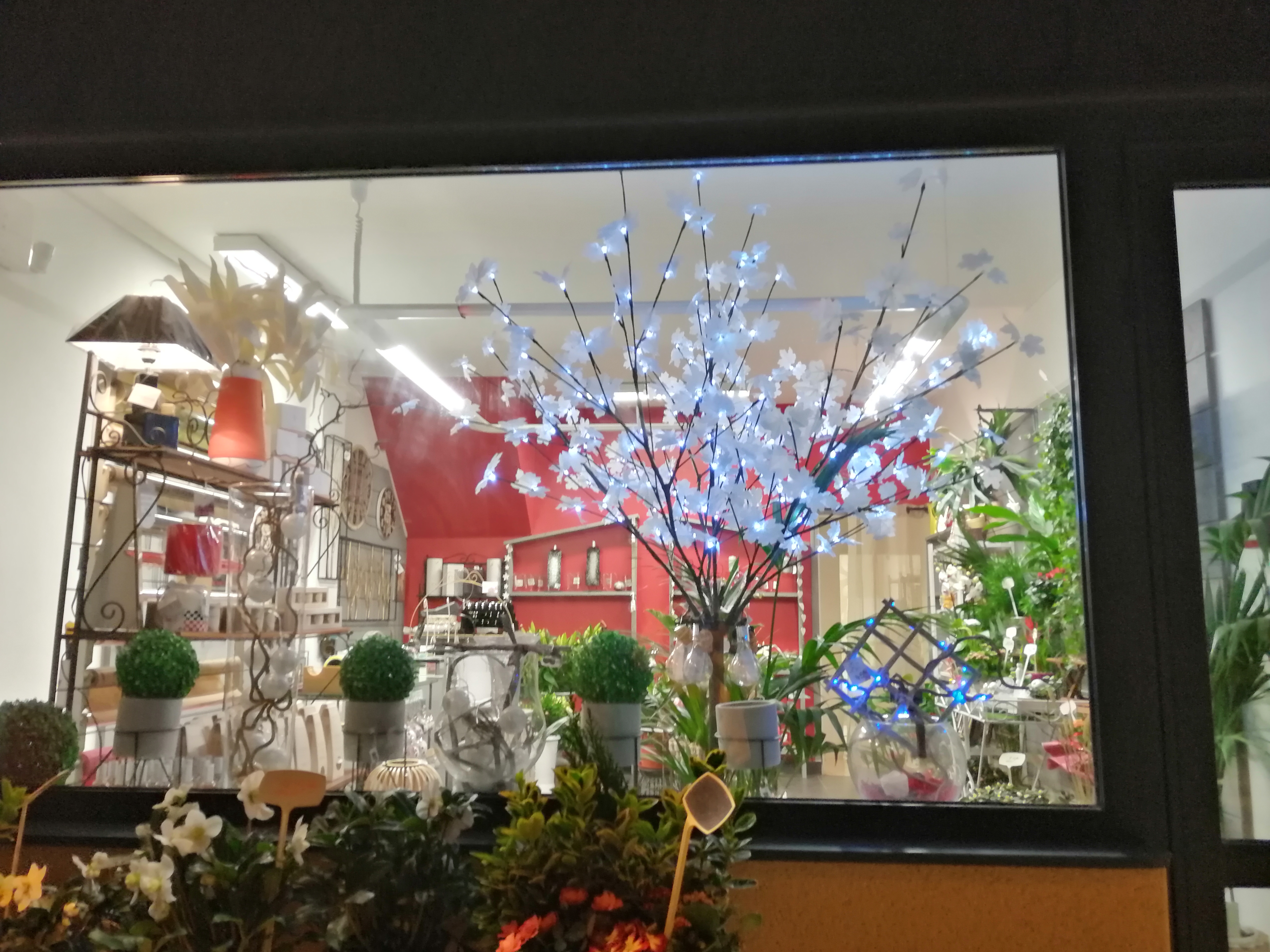 Dans l'objectif d'une reconversion professionnelle, je mets en vente ma boutique de fleurs-déco-cadeaux.
Le magasin est sans concurrence, idéalement placé sur un axe passager, entouré de nombreux commerces dont une boulangerie juste à côté, dans une commune dynamique de 1300 habitants. Arrière boutique de 20m2, pas de travaux à prévoir.
Affaire vendue avec tout le matériel, le mobilier et le stock en cours au moment de la vente.
Bon C.A à continuer de développer notamment en adhérant à un réseau de transmission florale, en étant présent sur les réseaux sociaux, en créant un site internet, etc...
La boutique n'attend plus que vous, votre savoir-faire et votre motivation.
Le 1er contact se fera par mail (plus aisé pour moi que de vous répondre entre 2 clients)