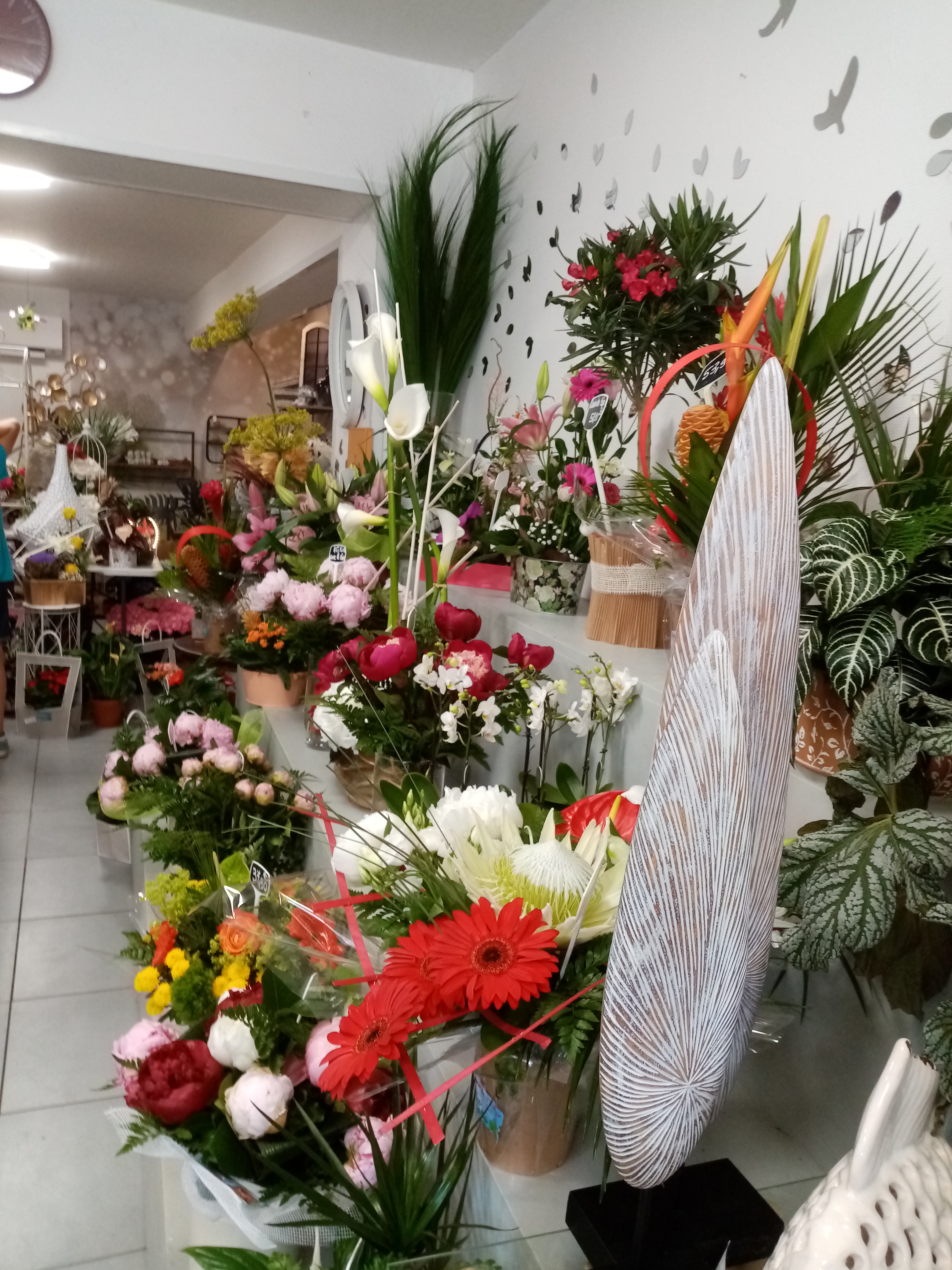 Boutique de fleurs et plantes. Décoration d'intérieur. Très belle surface de 90 M2+arrière boutique de 20m2. Deux grandes vitrines donnant sur un grand espace de trottoir, laissant une large possibilité de présenter les compositions extérieurs .
Pas de concurrence directe à moins de 15 km. Dessert une douzaine de communes au alentour. Bonne clientèle...! Je désire vendre pour prendre ma retraite.