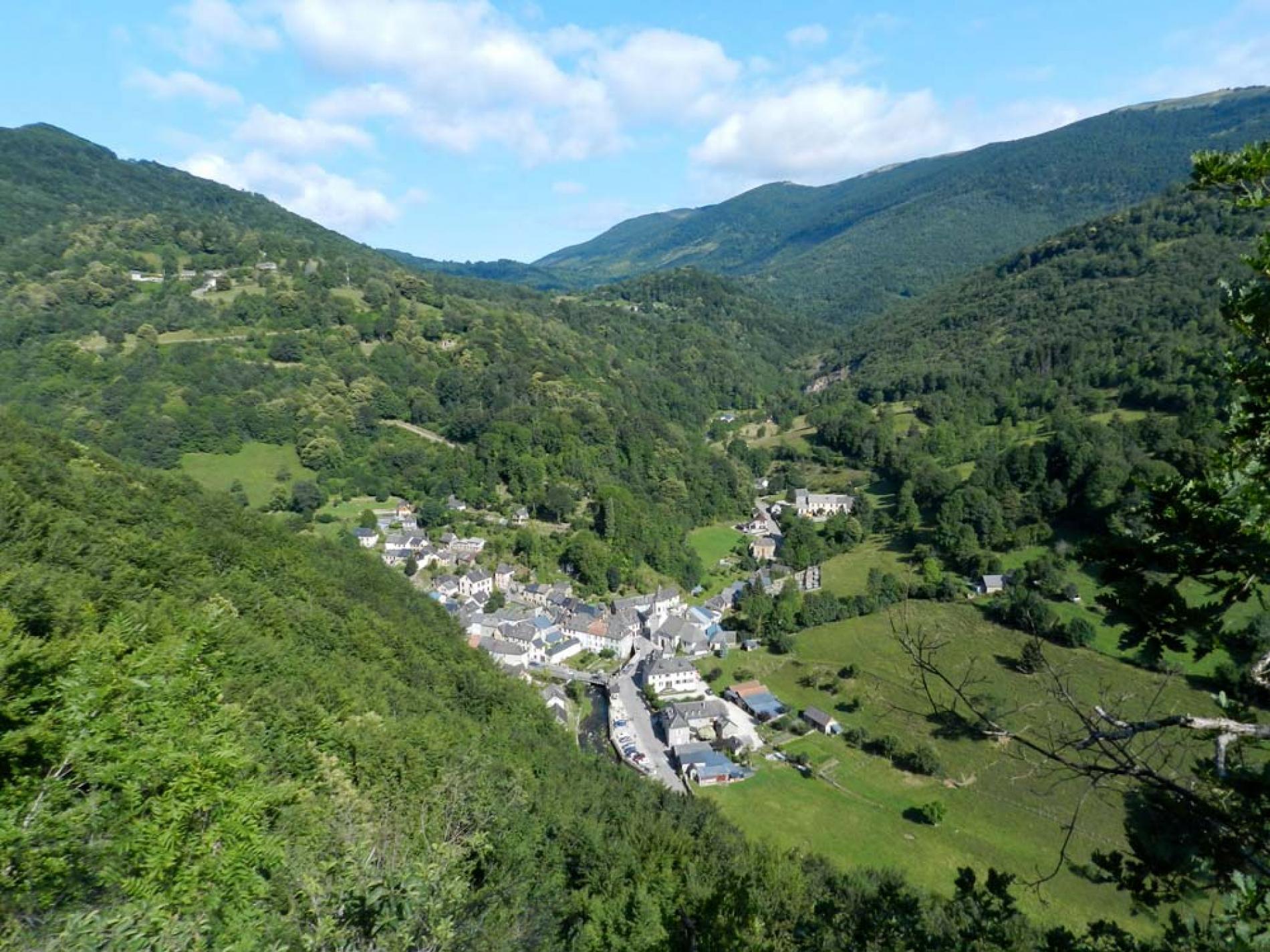 En Ariège sur la route des cols des Pyrénées, au coeur d'un village à 700 mètres d'altitude, pour un changement de projet nous souhaitons transmettre notre Auberge entièrement rénovée (aucun travaux à prévoir). 
Magnifique établissement Hôtel Logis depuis nos débuts, une force pour commercialiser nos chambres et nos prestations.
Depuis 1997 nous exploitons notre auberge qui comporte un hôtel 3*** - 8 chambres (max 22 couchages), salle de petits déjeuners totalement équipée, bar tabac (le tabac peut ne pas être repris), restaurant du terroir, deux bâtiments pour ce commerce traversé par une passerelle (ce qui fait le charme de notre auberge), deux terrasses (1 de 35 places, l'autre de 16 places) pour la belle saison de chaque côté de l'établissement. une avec vue sur la rivière.
Aucun contrat fournisseur, aucun contrat salarié. Seul hôtel du canton ce qui permet de travailler régulièrement d'avril a octobre avec une clientèle fidèle (clients locaux, touristes,  cyclos, montagnards car GR78 a côté.....divers partenaires au niveau de l hôtel afin de commercialiser les chambres, nous travaillons avec "un chanel manager" ce qui permet une gestion plus simple et plus évidente de l'hotel !)
Nous transmettons notre établissement totalement équipé, cuisines, chambres, bar, parties communes....afin que vous puissiez fonctionner immédiatement.
Possibilité d'accompagner sur une période les repreneurs.
Etablissement très bien exploité, belle affaire au charme exceptionnel.
Possibilité de faire de créer des chambres supplémentaires et de modifier notre manière actuelle de fonctionner. 
Plus de photos sur notre site : www:hotel-logis-ariege.com
Ecole primaire avec ramassage scolaire à 4 kms, college 25 kms avec ramassage scolaire, tous commerces à 13 kms (docteur pharmacie presse.....)