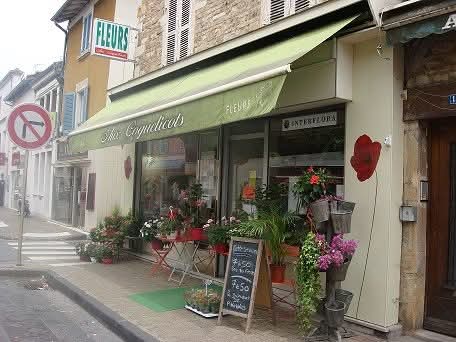 A céder fonds de commerce de fleurs situé dans le Rhône au pied du beaujolais.
en centre ville, en face de la poste et d'une boulangerie, à coté d'un primeur. Dans la même rue se trouve PFG , une agence immobilière, un bar à vin, une boucherie, une esthéticienne…
Local environ 40 M2 + réserves. 
Climatisation réversible.
Une chambre froide.

Loyer mensuel 692.44€.
Pas de personnel à reprendre.
Installé depuis 17 ans.

Pris du fonds de commerce :  45 000€