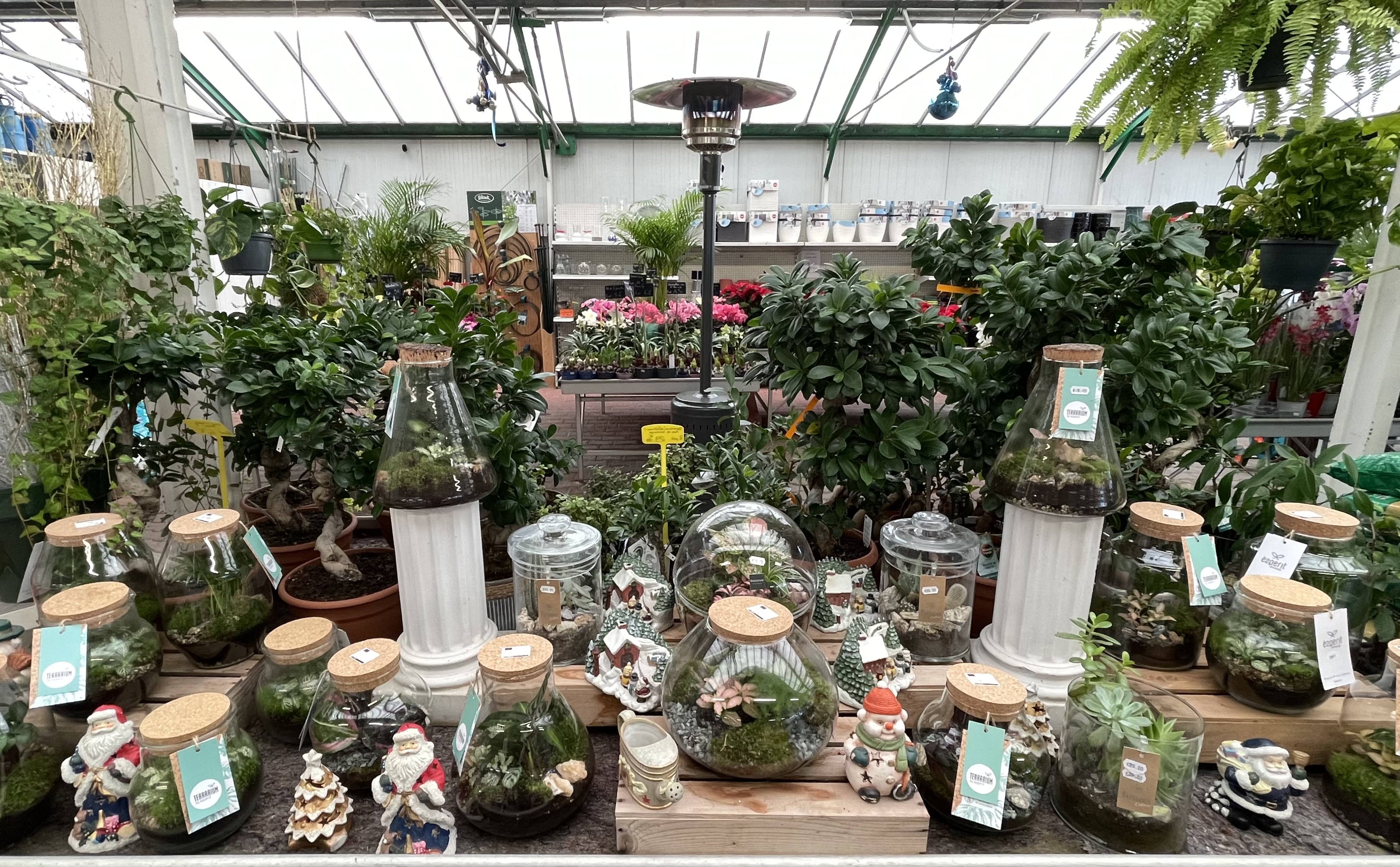 Jardinerie et fleuriste ouvert depuis printemps 1988 sue axe routier important avec site marchand de vente en ligne.