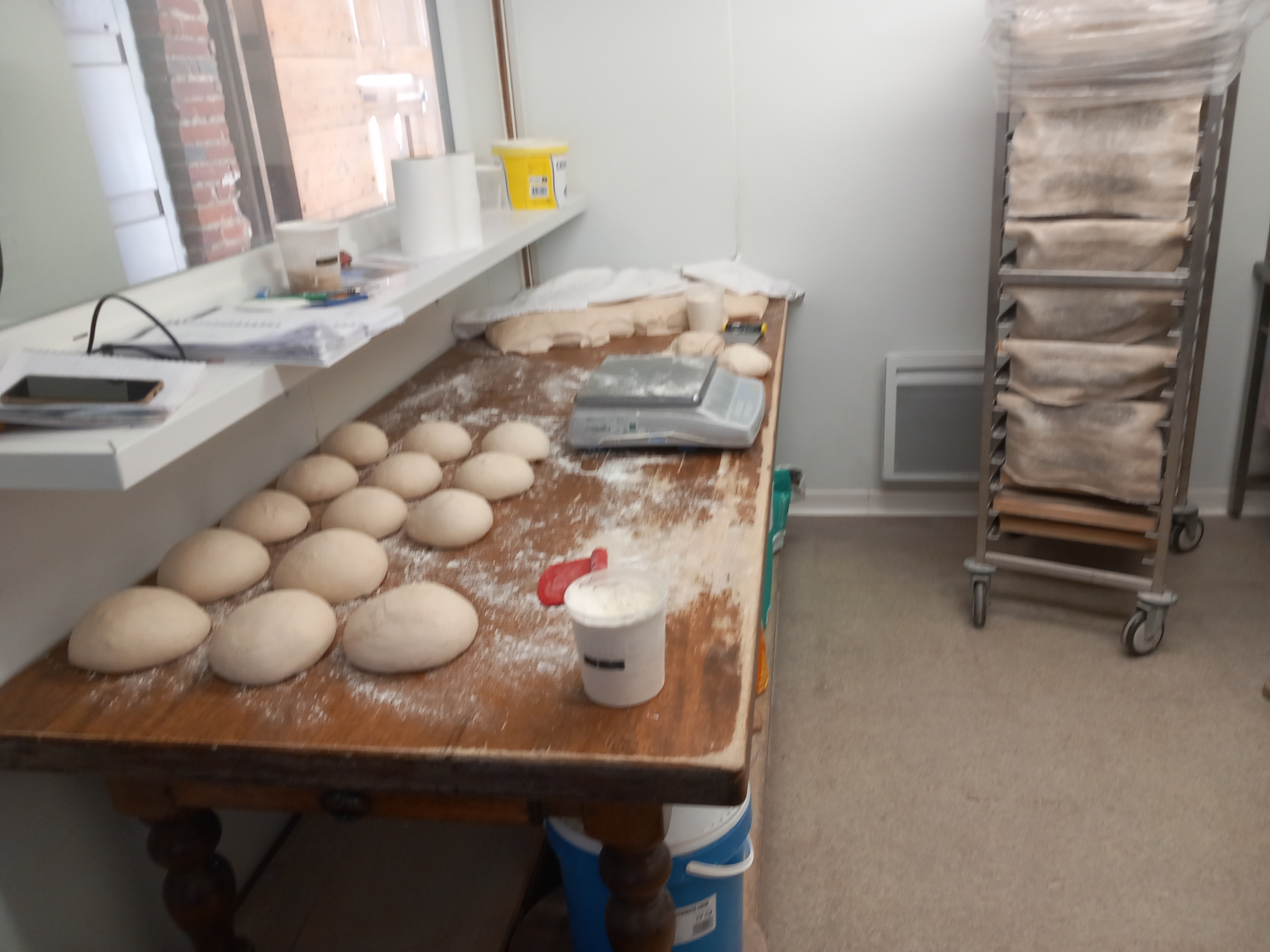 Fabrication et vente pains, tartes, brioches, pizzas cuits au feu de bois
2 labos, 2 chambres  froide ,pétrins
Cultivons notre blé pour la farine
2 marchés par semaine
Magasin ouvert vendredi et samedi matin
Cessation d'activité le 31 12 2025 retraite
Maison d'habitation à vendre