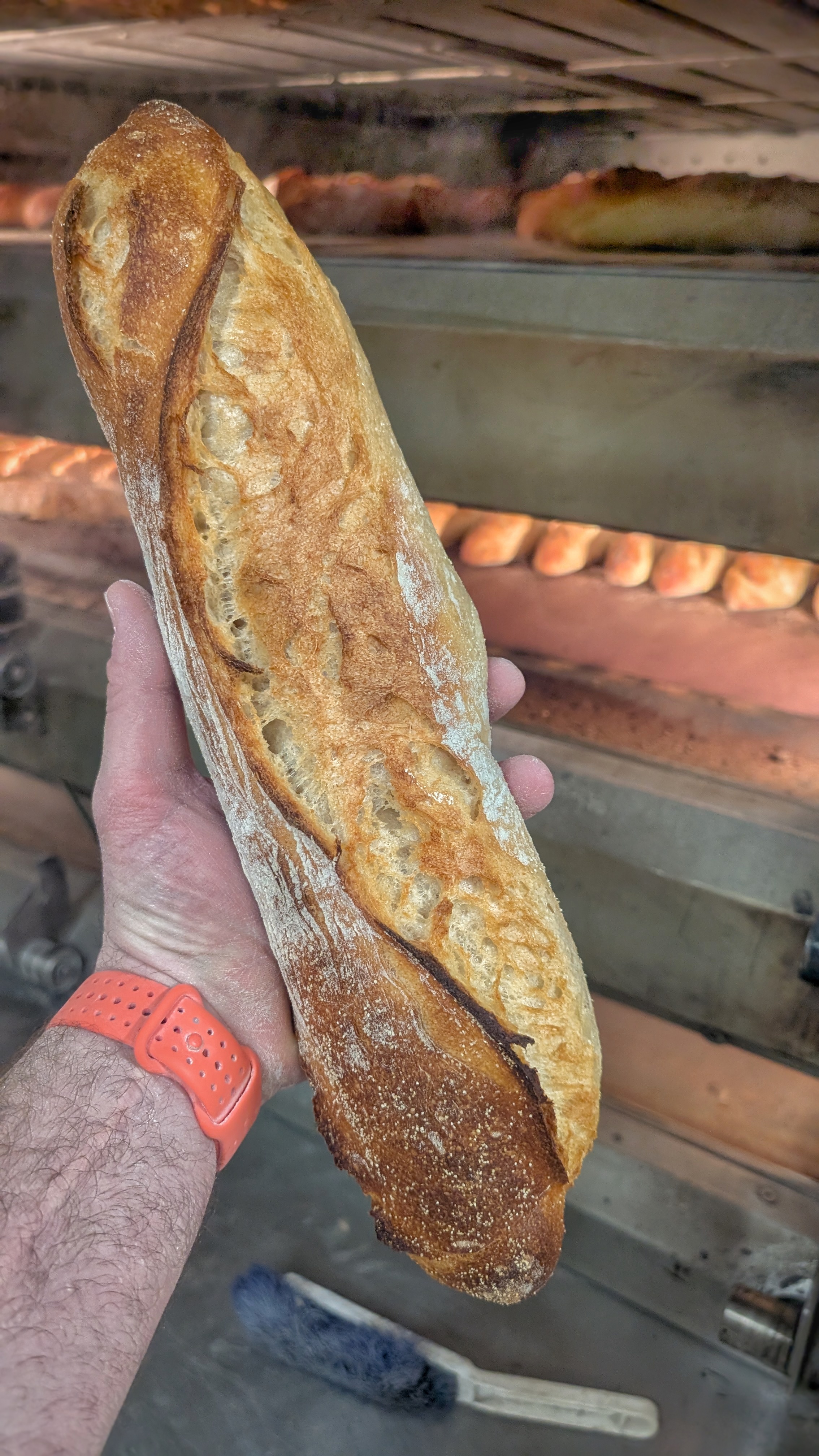 Bonjour bonjour.

Aprés cinq ans, je me décide à me séparer de mon bébé pour passer à autre chose et surtout, voir d'autres horizons.

Trés belle boutique dans un petit village de 950 habitants, sur un axe passant.
Je loue également une seconde boulangerie, je sous loue une partie, et l'autre partie est un dépôt de pain (et toute la gamme) dans un village à 10kms de la premiére, où se trouvent 1500 habitants.

Le dernier CA est à 470k, pour une boutique qui faisait 90k il y a six ans.

Rien à prévoir, tout est en trés bon état.

Les deux boulangeries disposent de leur propre four qui est loué avec le local.
Les fours sont de 2022 et 2021.

Fermé 4 semaines par an, possibilité de faire une terrasse devant, grosse progression possible en pâtisserie et snacking.

Pour toutes info' supplémentaires, n'hésitez pas à me contacter.

Pas de démarchage, juste des personnes sérieuses.
Je ne suis pas pressé pour la vente, je peux trés bien attendre des années, donc pas de marchant de tapis, merci.

Belle journée.