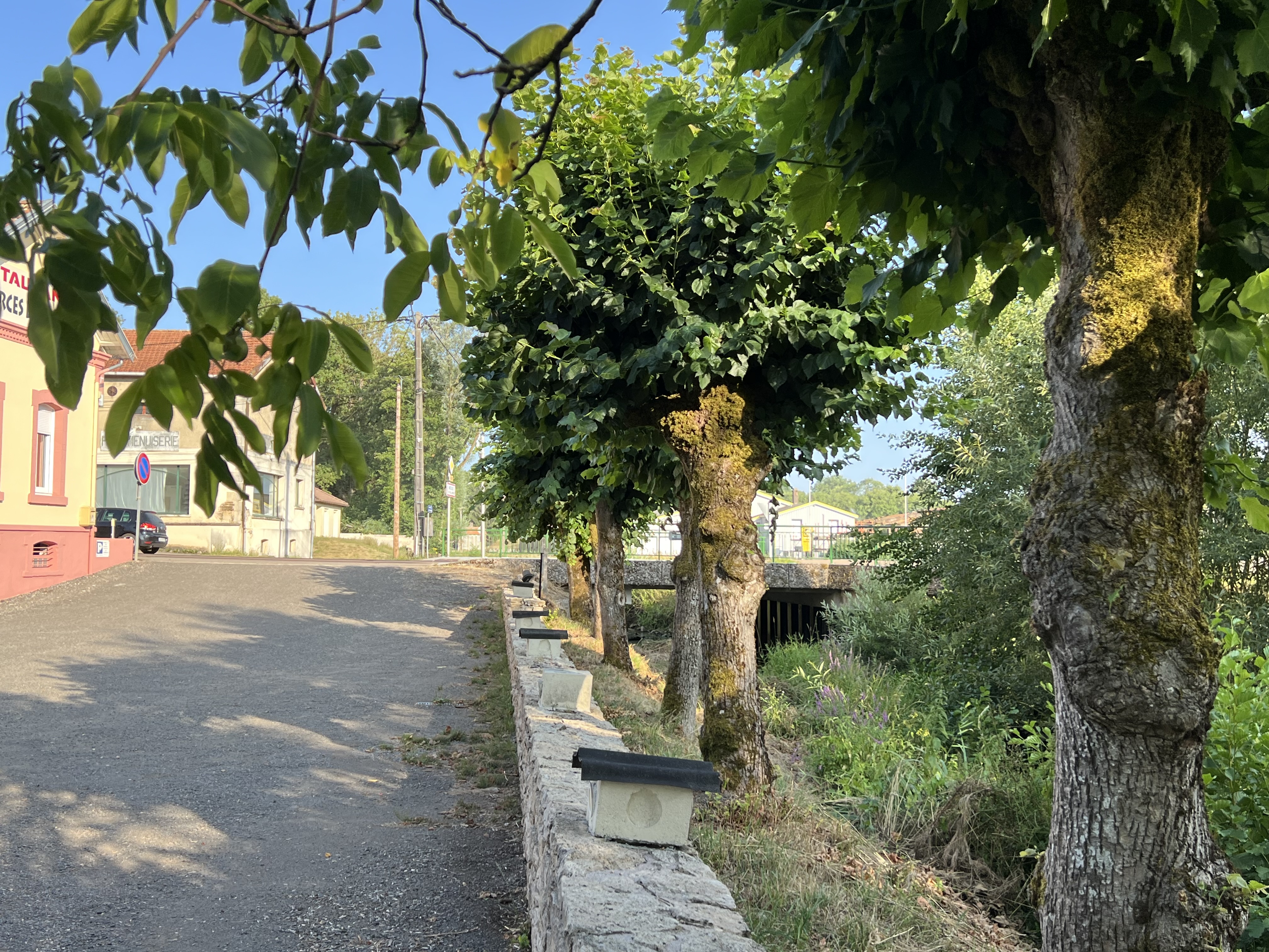 Rare, bel ensemble de 550m2 ne nécessitant pas de travaux, 29 ans d'exploitation avec une forte renommée, clientèle fidèle, régulière, diversifiée, sur un terrain de 2376m2 paysagé ainsi que deux parking en bordure de la Meuse (forte attraction pour les Belges et Hollandais).Rez-de- chaussée de plain- pied, comprend la partie restaurant, hall d'accueil, bar, 4 chaleureuses salles de restaurant dont une véranda et climatisées. Une terrasse d'été pour 10 personnes, des sanitaires hommes, femmes, incluant aussi un W.C. pour P.M.R. Un espace de trois chambre et salles d'eau pour le personnel ou autre. Cuisine très vaste et lumineuse entièrement équipée de matériel de qualité, en excellent état, aux normes avec une extraction vers l'extérieur, avec de nombreux frigos, une chambre froide, espaces de stockage, réserves denrées et matériel très complet.(Traiteur).
Un immense sous-sol avec caves voutées, buanderie, salle de jeux, 2 pompes à chaleur un ballon thermodynamique, une deuxième chaufferie bois, un garage.
Un étage avec appartement de fonction de 6 chambres, bureau, 2 salle d'eau, toilettes séparées, un grenier de 80m2, et un autre étage sous toiture neuve de 130m2 à amménager.
A 3 km de la sortie d'autoroute N° 8 KM 139 SUR A/31 AXE Luxembourg Espagne.
Clientèle en semaine V.R.P, ouvriers, vacanciers, entreprises locales, curistes, avec menu du jour et carte, le week end en mode grastronomique, sans oublier l'apport de clientèle de l'hôtel Maas voisin et partenaire.
Opportunité rare d'acquérir cette affaire bien établie, clé en main, avec un potentiel à encore exploiter, accompagnement possible pour lancer la nouvelle équipe. UNE VISITE S'IMPOSE. CAUSE RETRAITE.