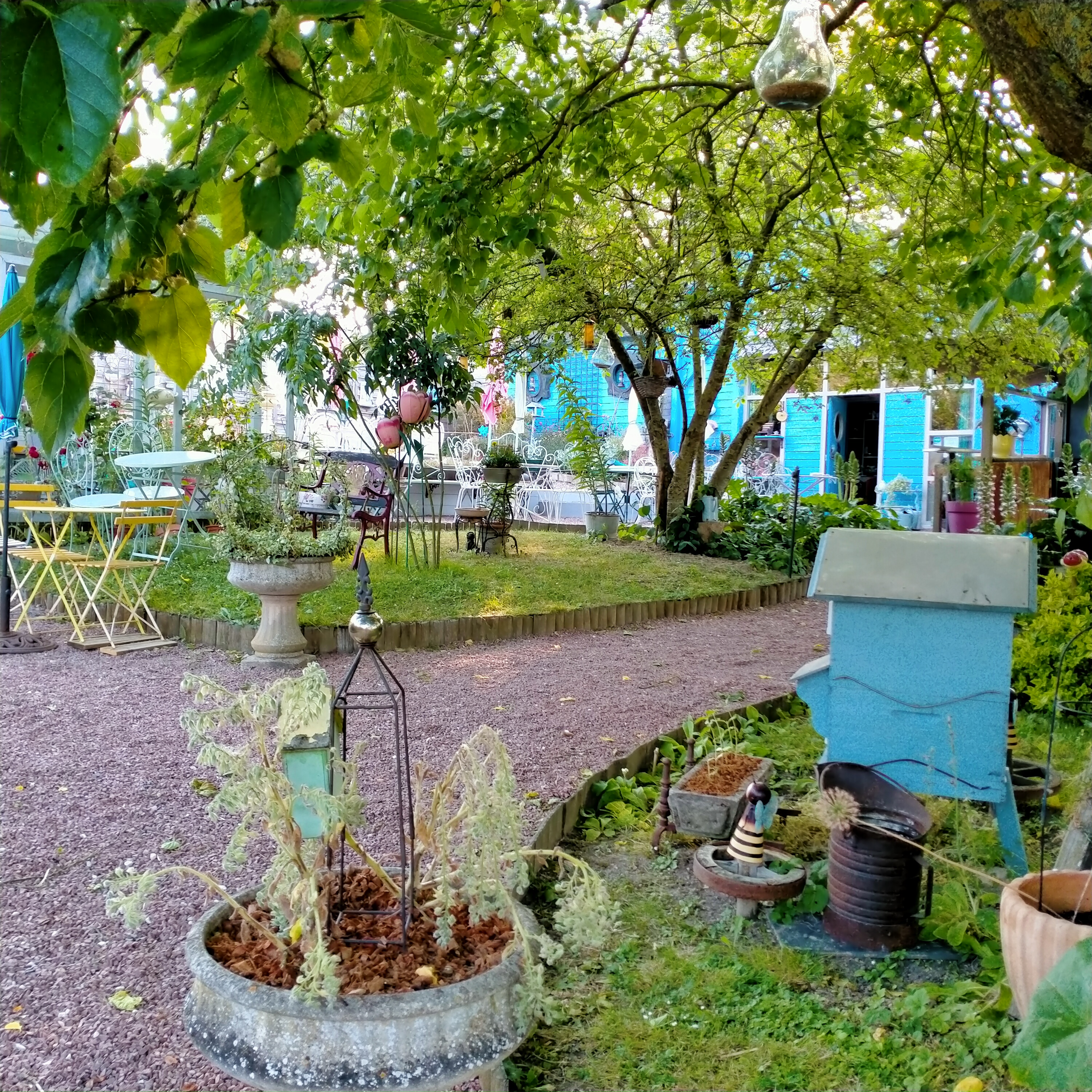 Bonjour,
Vend fonds de commerce , restaurant, bar ,(licence 3), salon de thé
(les murs ne sont pas à vendres)
Rosamée est un salon de thé, bar, restaurant situé dans le village du Coudray Macouard, village labellisé “petite cité de caractère” “village de charme” “village fleuri 3 fleurs” en plein
cœur du val de Loire classé par l'Unesco et du parc naturel régional “ Loire,
Anjou Touraine”.
“Rosamée” est à 10minutes de la ville de Saumur sur la route de
l’abbaye de Fontevraud, château de Brézé, château de Montreuil Bellay ect…
et en plein cœur des vignes du saumurois
Vous serez charmé par ce commerce à la décoration intérieure atypique et
chaleureuse et de son parc arboré aménagé avec beaucoup de goût
ainsi qu’une cuisine aménagée tout inox, WC toilettes aux normes
PMR.
“Rosamée” est un commerce à très fort potentiel de développement, guinguette, bar a vin/biere ect..
Si vous êtes à la recherche d’une vie incomparable à la campagne dans un village de charme et dynamique “Rosamée” est fait pour vous
Pour tous renseignements complémentaires, premier contact par mail.
Uniquement pour les personnes sérieuses, motivées en nous laissant votre nom prénom
adresse mail ou n° de tel
Curieux et agence s’abstenir !