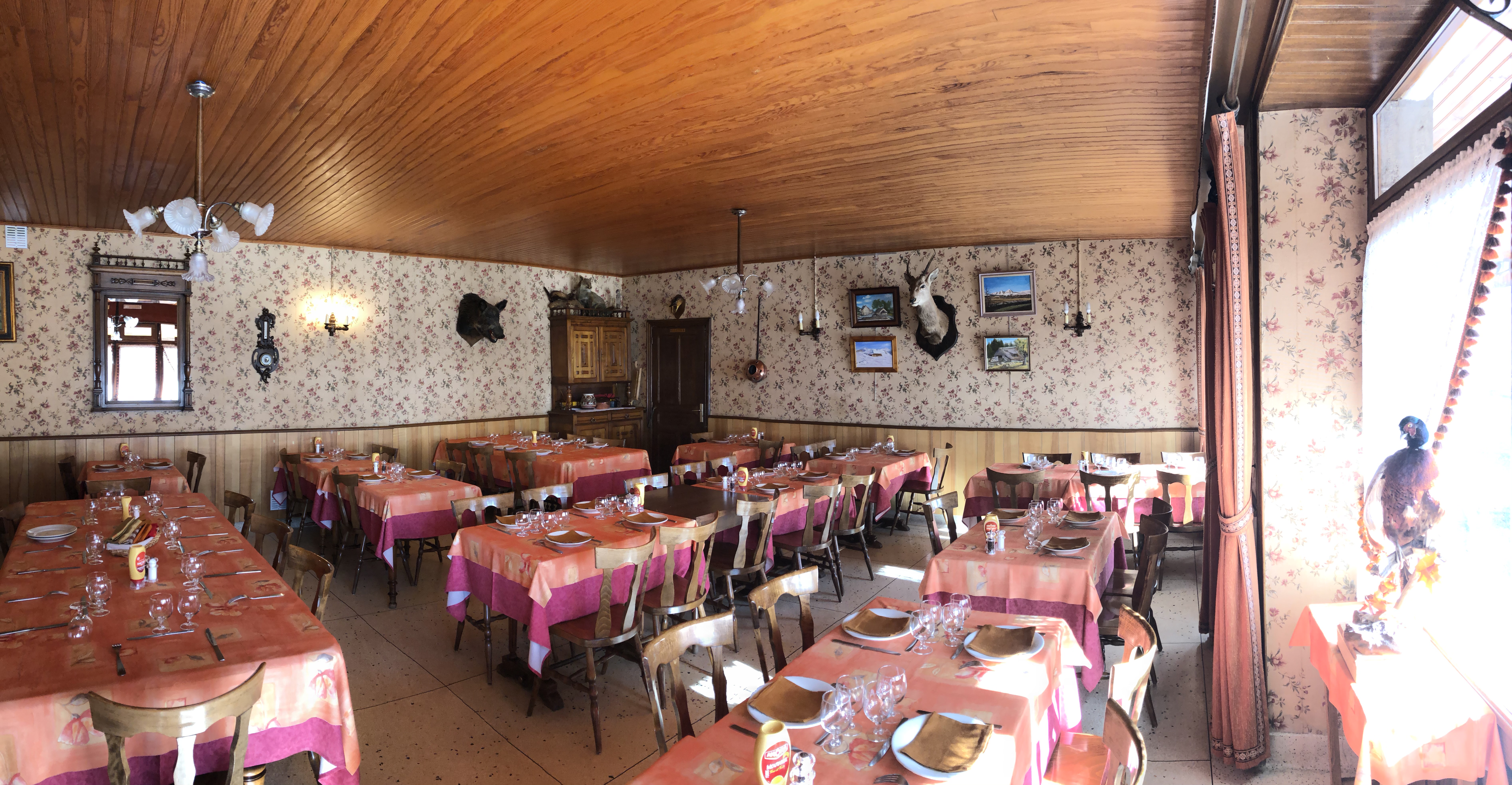 Cet hôtel de 16 chambres est situé au cœur du massif du Sancy, dans un charmant petit village doté de commerces, services et pistes de ski de fond, raquettes et chien de traîneau.

Construit en 1900, cet hôtel familial depuis 5 générations, offre calme et tranquillité à ses clients à seulement 10 minutes de la station de ski de Superbesse.

A proximité de sentiers de randonnée, pistes de ski, ... vous profiterez de deux grandes saisons (été/ hiver). 

L’hôtel est doté d’un bar, d’une cuisine avec fourneau, chambre froide et cave ainsi que d’une salle de restaurant pouvant recevoir jusqu’à 50 couverts.

Il comprend également un logement de fonction de type F3 ainsi qu’un jardin.

Murs et fond de commerce indissociables.