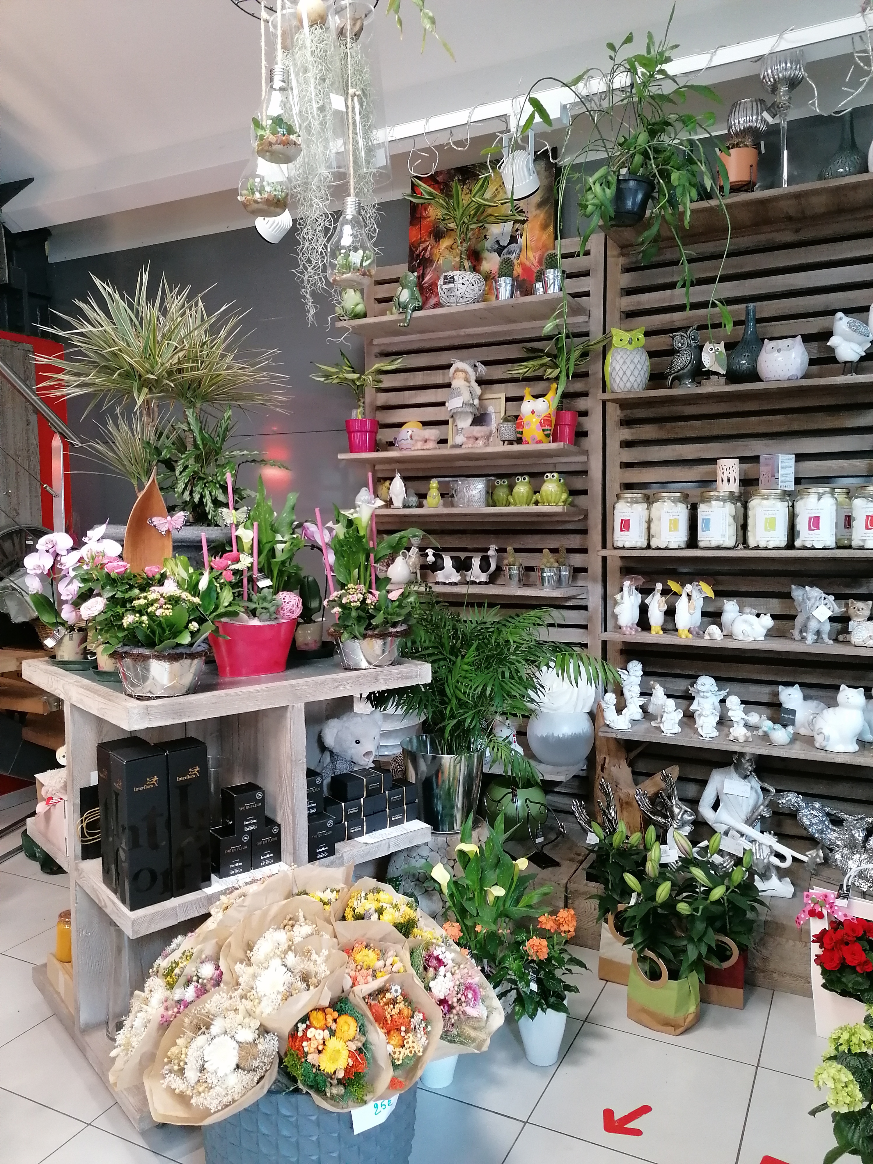 Situé dans la charmante ville de Dun sur Auron, à mi-chemin entre Bourges et Saint Amand Montrond, ce magasin de référence locale offre une occasion unique de pouvoir commencer ou de poursuivre une activité florale dans un environnement agréable et bien équipé.
Ce local conçu en 2017 sur un style industriel , vous pouvez donc profitez d'un établissement récent et fonctionnel.
Surface de vente: 44m2
Atelier: 50m2
Local de réserve: 50m2
Chambre froide
Autres installations: climatisations réversibles, VMC.
Atouts qui font la différence: un grand parking en face de la boutique avec une place de livraison et implanté en centre ville et au beau milieu d'autres commerces