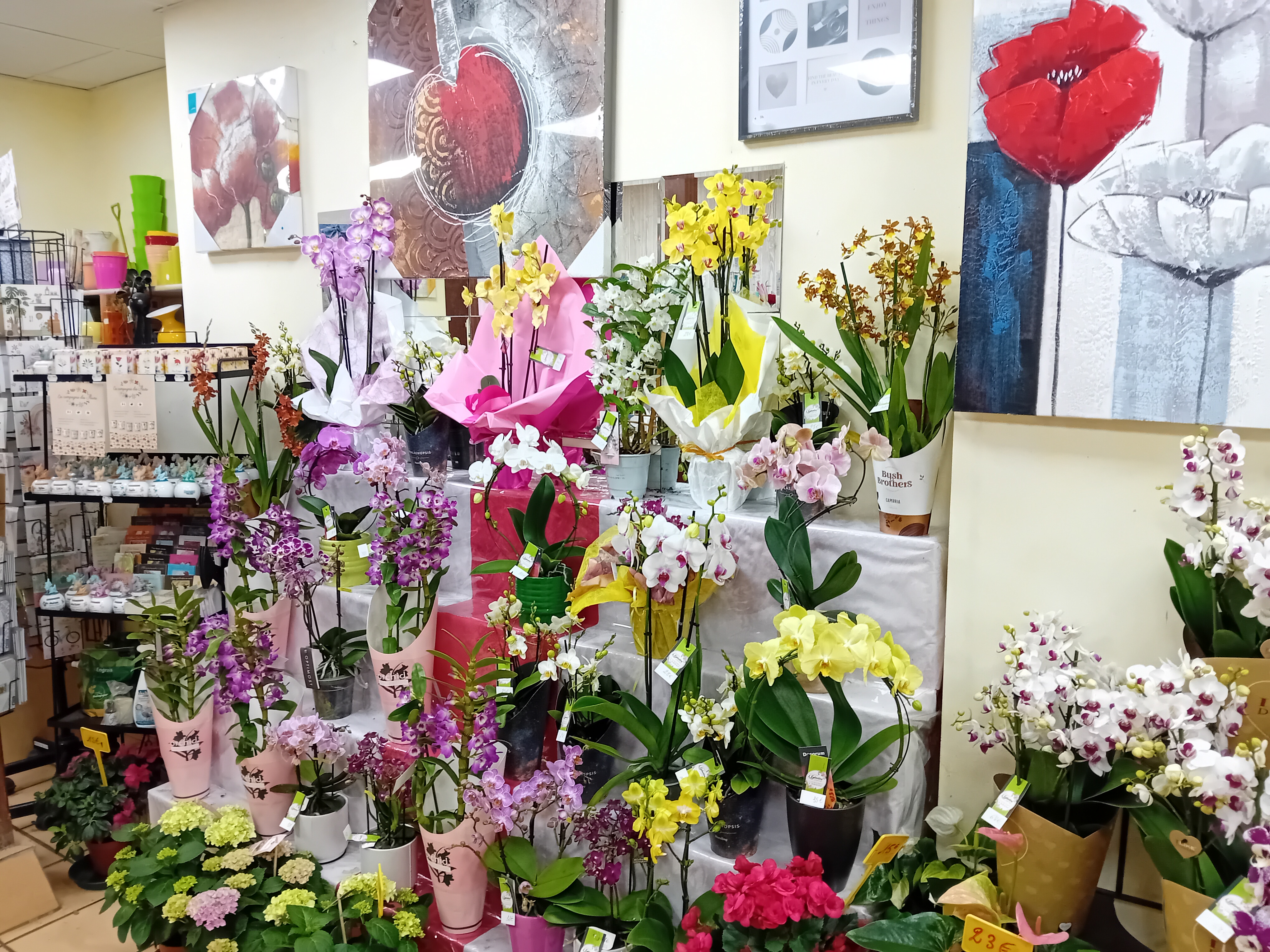 A vendre fond de commerce fleuriste/cadeaux/ articles funéraires dans ville de 3500 habitants , surface de vente de 120 m2 avec possibilité étalage extérieur dans une rue piétonne.