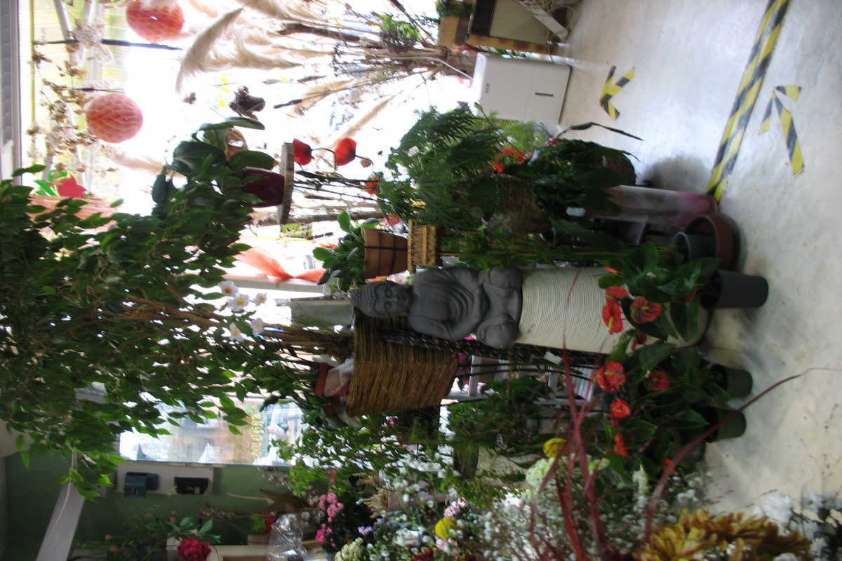 Magasin fleuriste , pouvant exercer tout commerce bien situé face place de la république , centre du village -touristique proposant arts et poteries agréable à vivre