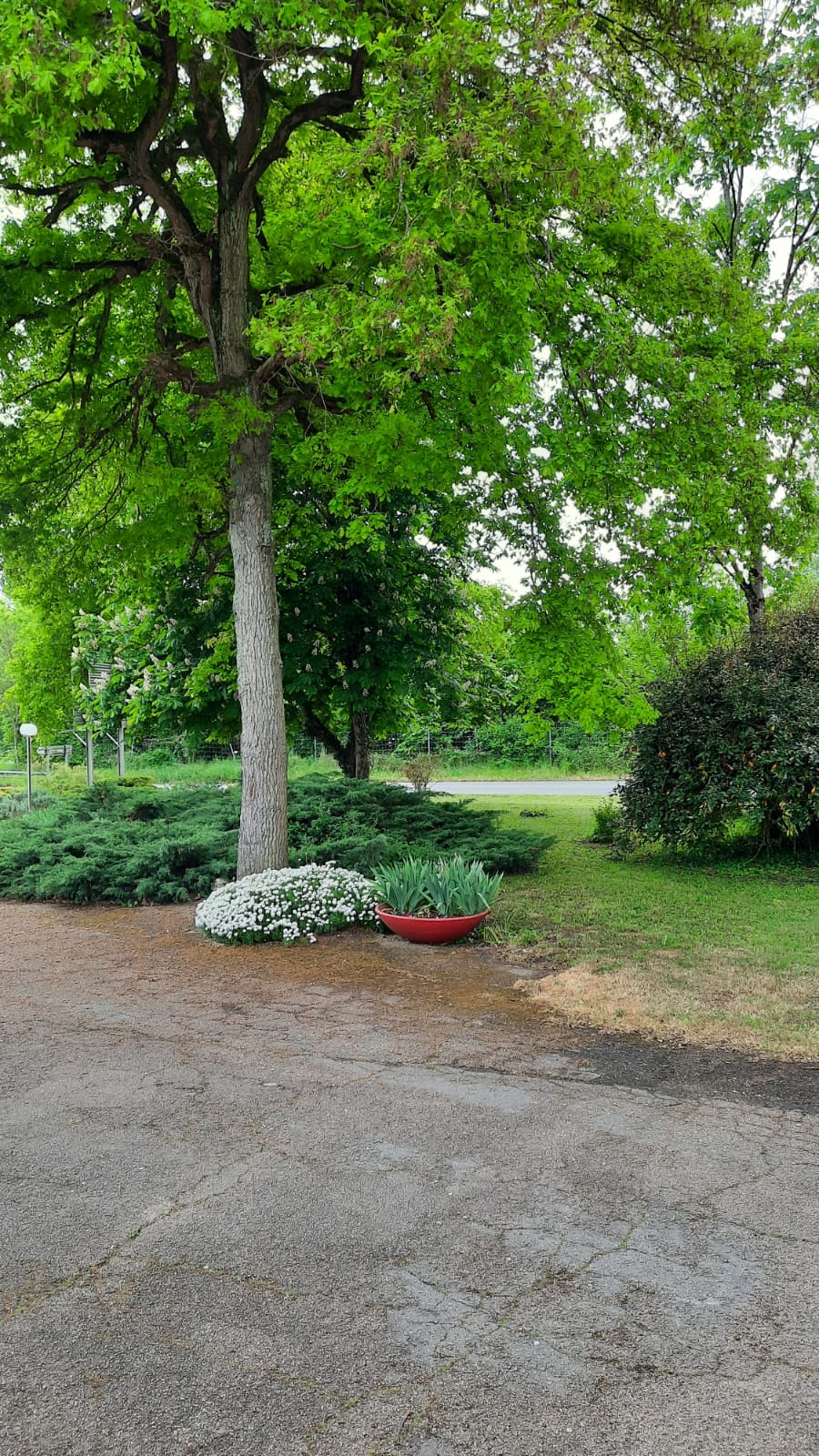 A vendre murs et fond 210 000€ motel de plain pied 12 chambres grand parking réception attenante sur 4300 m2 de terrain avec 4 boxs fermés. Licence 4.
Appartement 3 pieces avec jardin et grand grenier aménageable. Commission de sécurité passée le 20 septembre 2022 avis favorable valable 5 ans les 2 étoiles obtenues en décembre 2021 par atout france valable 5ans.
Possibilité de faire de la petite restauration. CA en hausse pour 2022.
A proximité de Sancerre Charite sur Loire et Gedelon