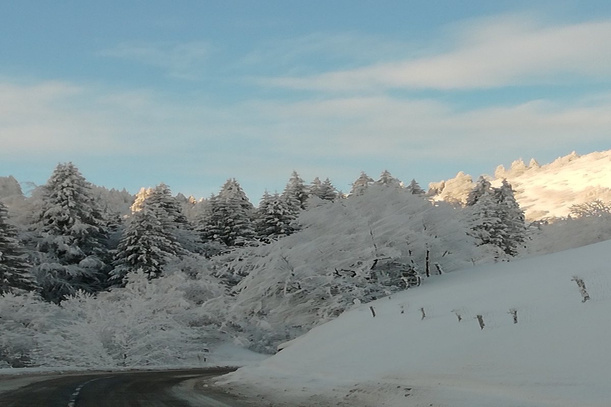 Magasin de sport, vente et location skis, snows, luges, raquettes... ainsi qu'une boutique de souvenirs/produits régionaux.
Emplacement nr 1 front de neige, situé dans le massif des Bauges.
Saison d'été à développer.
Fonds de commerce et possibilité murs commerciaux.
