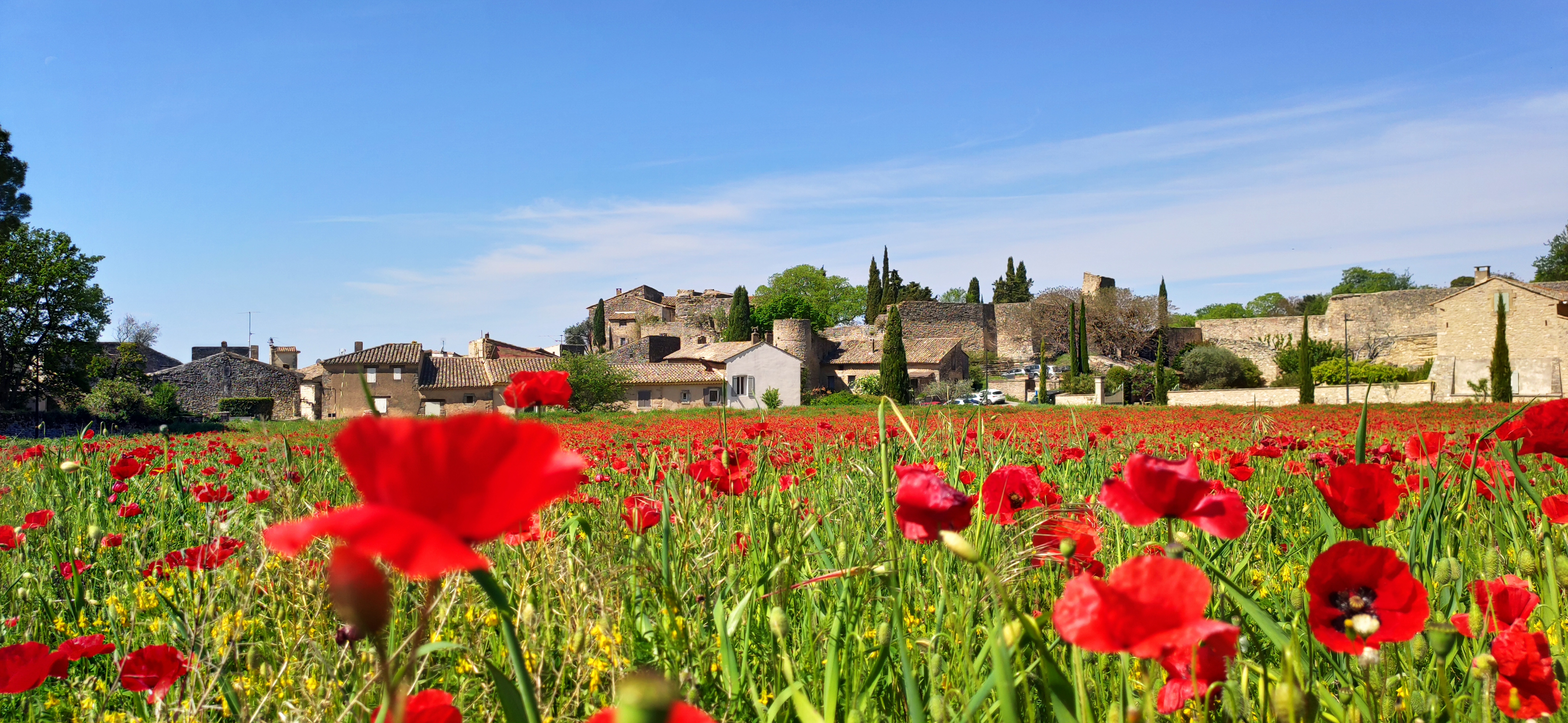 Depuis 2005, j'ai eu le plaisir de servir mes clients et de contribuer à de nombreux projets immobiliers. Aujourd'hui, je souhaite transmettre cette entreprise à une personne passionnée et désireuse de poursuivre cette belle aventure.
Cette décision fait suite à mon départ à la retraite prévu pour le 19 décembre 2025.
Je cède mon fonds de commerce, situé au 56, rue de la République à Lagnes, qui bénéficie d'un emplacement stratégique à fort passage dans le centre du village. 
L'activité principale de l'agence est la transaction et la location, sans la gestion. Il est important de noter que j'ai une forte demande en location saisonnière et en gestion, ce qui pourrait représenter une belle opportunité pour le futur repreneur. 
Pour toute information complémentaire, je vous invite à me contacter au 04 90 21 15 37 ou par email à contact@soleildeprovenceimmobilier.com 
J'espère trouver un repreneur motivé pour continuer cette belle histoire.