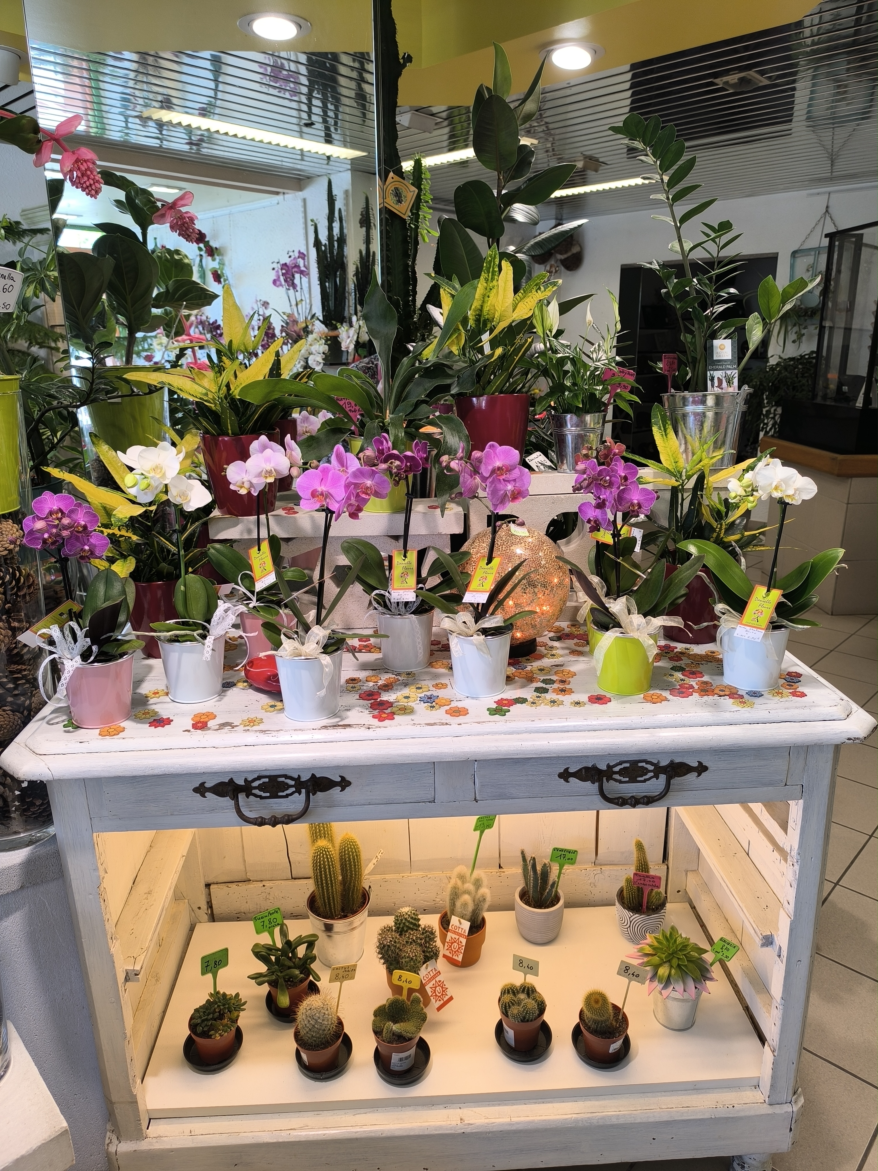 A VENDRE
 Fonds de commerce fleuriste(39 ans-interflora)
Dans le 37
Deuxième ville du département 

Idéalement situé en centre ville 
Zone bleue.place  commerçante (boulangerie,boucherie,maison presse,primeur, caviste, pharmacie,cordonnier...
Tram, église,hôtel de ville à 50 mètres du magasin.
et face à l'hôtel de police

Situé en périphérique  de Tours.

Bail neuf
Logement type 4
Très bonne rentabilité 
Belle qualité de vie. 
Congés 3 semaines
Sans employé 

Magasin 80m2
Atelier     50m2
Garage.   50m2(possibilité de rentrer un expert,trafic...)
Prix et informations sur demande 
Contactez -nous pour plus d'informations