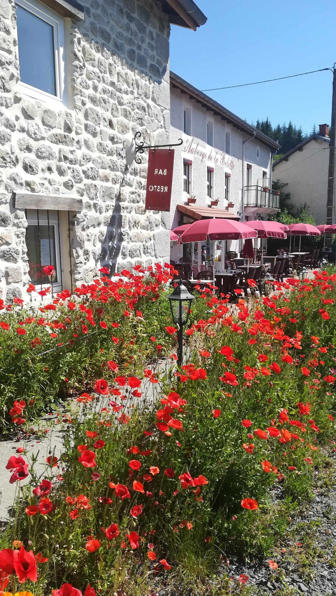 L’Auberge de La Belette est un hôtel restaurant bar de caractère, 2*, labellisé Qualité Tourisme, Clef verte et Tourisme et Handicap… Une « pépite » à haut potentiel à proximité de la sous-préfecture d’Ambert au cœur du Parc Naturel Régional du Livradois Forez ! (50mn de Clermont-Ferrand, 2h de Lyon, 5h de Paris).

Nichée au cœur de l'Auvergne, dans le parc naturel du Livradois Forez, l'auberge de la Belette est un établissement offrant une expérience authentique, avec pour ambition d'apporter des moments de convivialité à sa clientèle dans un cadre rustique.

Non loin de la ville d'Ambert, vous aurez l'occasion de séjourner dans cet établissement au décor de montagne, en pleine immersion dans la vie Auvergnate. L'établissement bénéficie d'une situation idéale, au départ de nombreux sentiers pédestres et au cœur du plus grand domaine VTT de France (2700 km).

La partie restauration est constituée de 3 espaces indépendants d’environ 48 couverts chacun :
•	une salle rustique avec poêle
•	une salle avec cheminée (insert)
•	une terrasse avec vue

La cuisine est communicante avec les 3 espaces, entièrement aménagée et équipée aux normes en vigueur (piano, four, frigo, congélateur, plonge, chambre froide… Espace préparation chaud, préparation froid, cave...).

La partie hébergement (utilisable sous forme hôtel, chambre d’hôtes ou gîte) comprend 7 chambres, organisées en 17 couchages pour la norme 2* (19 couchages entièrement modulables, neufs et confortables disponibles). Chaque chambre comprend une douche ou baignoire et WC. 2 ou 3 chambres ont une capacité de 3 ou 4 personnes (familiale ou suite).

D’autres espaces valorisent l’établissement pour l’accueil clientèle ou la fonctionnalité du travail : piscine couverte, salle de détente, terrasses privatives, jardin, parking… buanderie, bureau-boutique-réception, réserve, grenier…

L’établissement comprend également un comptoir de bar-réception et une licence IV.

Les toilettes sont neuves et aux normes d’accessibilité. L’hébergement n’est pas accessible aux PMR mais homologué pour les 3 autres handicaps objets de la labellisation (auditif, visuel et mental).

Il y a des vestiaires pour le personnel et un appartement de fonction (90m2, 5 chambres, accès indépendant, proximité village avec école et collège).
 Il y a une clientèle locale fidèle (70%) et saisonnière (nationale et 
internationale). 

L’établissement a entièrement été refait à neuf entre 2016 et 2019 : assainissement individuel, chaudière à granulés, panneaux solaires pour le chauffage et la production électrique, isolation thermique et phonique …

CA de 200 à 350 000 €

Location envisageable

Accompagnement à la reprise

Prix du fonds : 150 000 €, prix des murs : 350 000 €

Disponibilité immédiate

Le Monestier est en zone de revitalisation rurale ce qui permet de bénéficier de dégrèvement d’impôts. Le réseau initiative peut être sollicité pour réaliser un emprunt à taux zéro de 10 000 € maximum en complément d’un emprunt bancaire. Il est possible aussi de solliciter France Active pour obtenir une garantie d’emprunt.