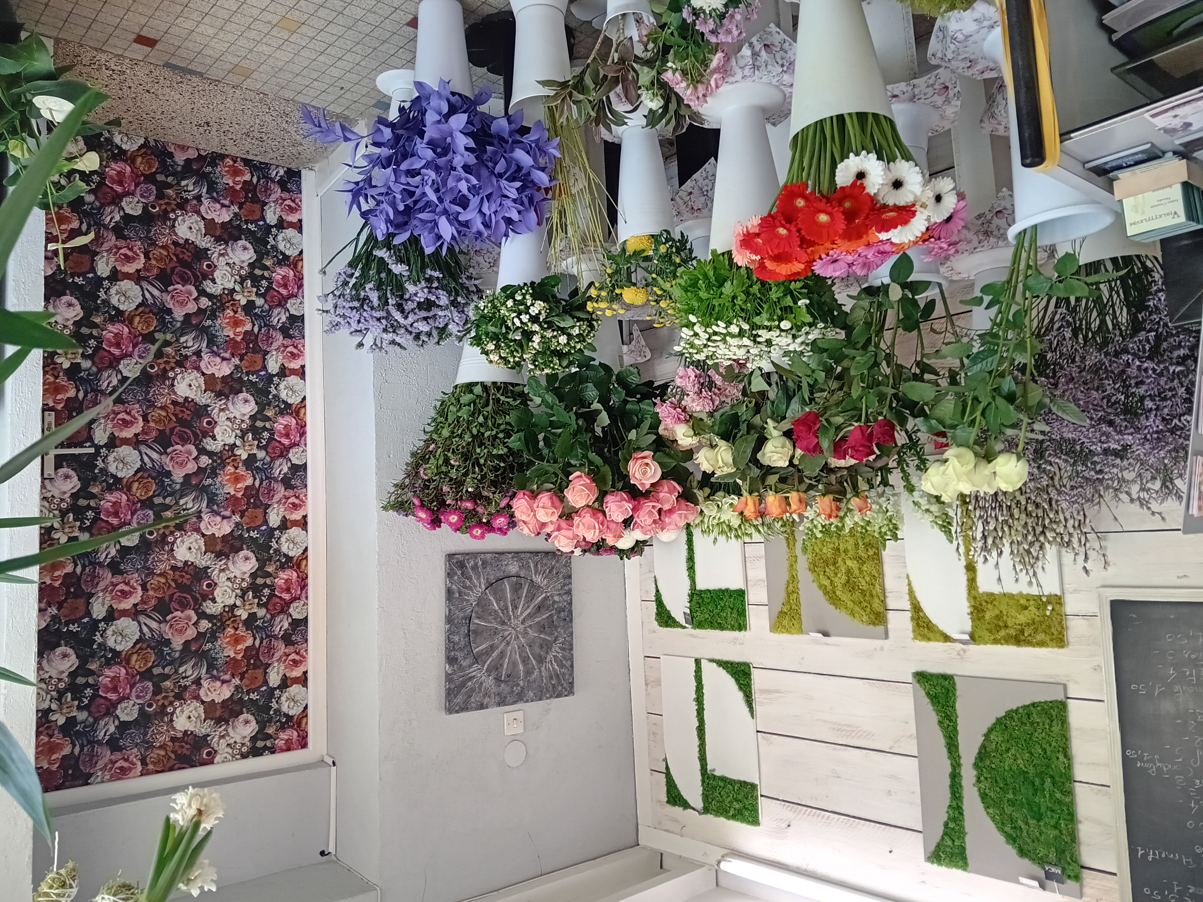 Belle affaire à saisir pour cause retraite.
Magasin situé à 15 kms de la frontière Luxembourgeoise.
Ouvert en 1983, avec une clientèle fidèle, dans un esprit à la fois villageois, mais en demande de nouveautés et de modernité.
50m2 environ, petit loyer, bon chiffre d'affaire.
Le magasin est situé dans la rue principale, face à la boulangerie, l'église, près du cimetière et de la pharmacie.
Il est vendu avec un stock d'environ 8000€ de marchandise, compris dans le fonds. 
Pas d'employé, possibilité d'accompagnement pendant le temps nécessaire à l'installation.
Le chiffre peut doubler avec une inscription INTERFLORA, car il n'y a pas de concurrence dans ce domaine.
Si votre rêve est d'avoir votre propre boutique, c'est maintenant.....