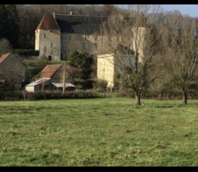 Ancien bistrot, beaux volumes, idéal café ou brocante, sur la place du village. Caractère et cachet.
A la fois cœur de village, et axe routier à proximité. 
200 m2 environ
Au 1er :4 chambres, salle de bain et Wc séparés,
Au RDC : 2 grandes pièces et cuisine. 
Petit jardin attenant + 1800 m2 de terrain à 50 mètres de la bâtisse avec vue sur château