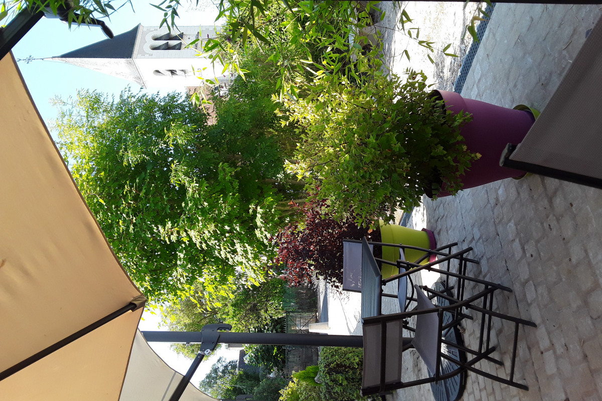 Situé dans un petit bourg, Feings, commune du Controis en Sologne (6000 h. Env.)
restaurant 40 places plus 25 terrasse
Refait à neuf en 2013, restauration traditionnelle
Tenu en couple, pas de salariés. Idéal primo accédant ou fin de carrière 
Dernier commerce du village
Pas de travaux à prévoir