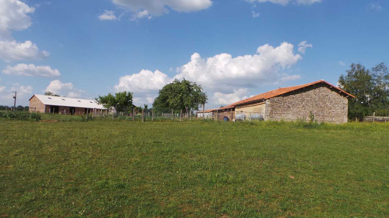 Cessation d’activité cause départ retraite, propose à la vente ferme équestre avec camping équipée de gites insolites.
Cet ensemble immobilier d'environ 10 hectares situé dans un cadre paisible et verdoyant à la campagne est composé de:

- Une charentaise entièrement rénovée d'environ 120 m² habitables avec garage et grange attenants. Travaux effectués en 2016 : isolation des sols, murs et plafonds. Menuiseries en double vitrage, volets électriques, plomberie + électricité. Chauffage au sol assuré par une pompe à chaleur réversible. Toiture entièrement refaite en 2019. Combles aménageables (2/3 chambres + salle d'eau).GES A Classe Energie B

- Une partie équestre comprenant : un bâtiment construit en 2021 d'environ 400 m² (possibilité d'agrandissement à moindre cout) avec récupérateur des eaux pluviales pouvant accueillir 8 à 10 chevaux (avec brumisateur pour leur confort). Stockage de paille/foin, van. WC avec évier.

- Une partie camping (mis en service en 2018) équipée de 4 gîtes insolites entièrement équipés (mobilier, linge, vaisselles...) et isolés4 saisons avec chauffage et terrasse:
- 2 roulottes de 20 m² avec cuisine, séjour, 2 chambres dont 1 avec lit superposé.
- 1 cabane en bois type tipi de 43 m² avec en RDC: cuisine, séjour, salle d'eau et WC indépendant; en mezzanine une chambre avec balcon.
- 1 deuxième cabane type tipi de 18 m² avec une chambre avec salle d'eau et WC
- 6 emplacements de camping avec électricité.