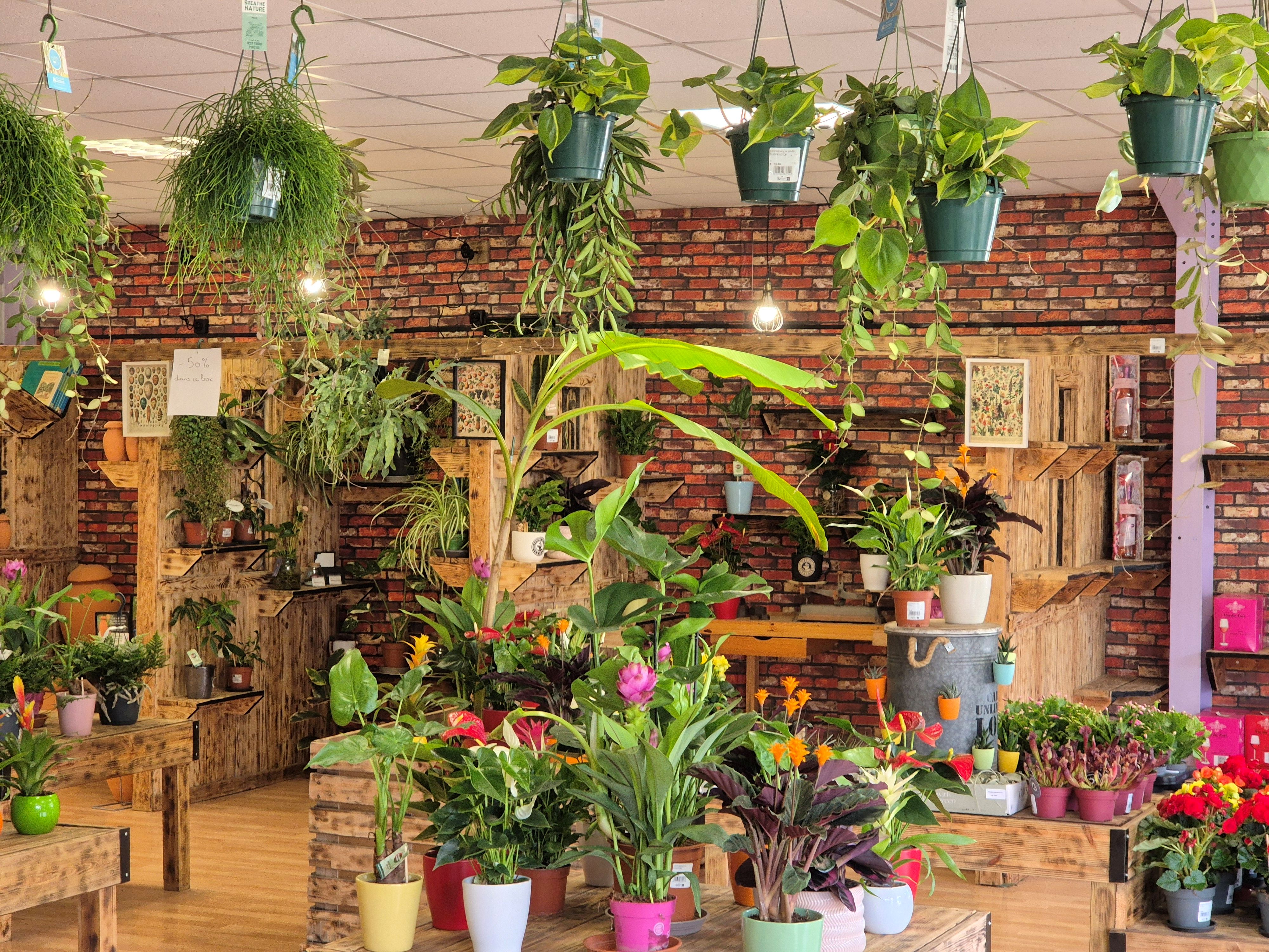À vendre fonds de commerce de jardinerie idéalement situé à Saint-Vite (Lot-et-Garonne), en bordure d’un axe très passant avec parking clientèle.

Existant depuis 4 ans, Le Jardin d’Olivier jouit d’une excellente visibilité locale et dispose d’une clientèle variée : particuliers, professionnels, collectivités, campings…

🔹 Surface du magasin : 180 m²
🔹 Terrain attenant : 850 m²
🔹 Activités : vente de végétaux, terreaux, poteries, fournitures de jardin, etc.
🔹 Clientèle fidélisée et diversifiée
🔹 Loyer mensuel : 960 € – bail commercial en cours
🔹 Matériel et équipements inclus dans la vente
🔹 Aucun salarié à reprendre

💰 Prix de vente du fonds de commerce : 28 000 €(hors stock)
📍 Idéal pour une reprise en solo ou en couple, avec fort potentiel de développement (pépinière, produits bio, aménagements paysagers, etc.).