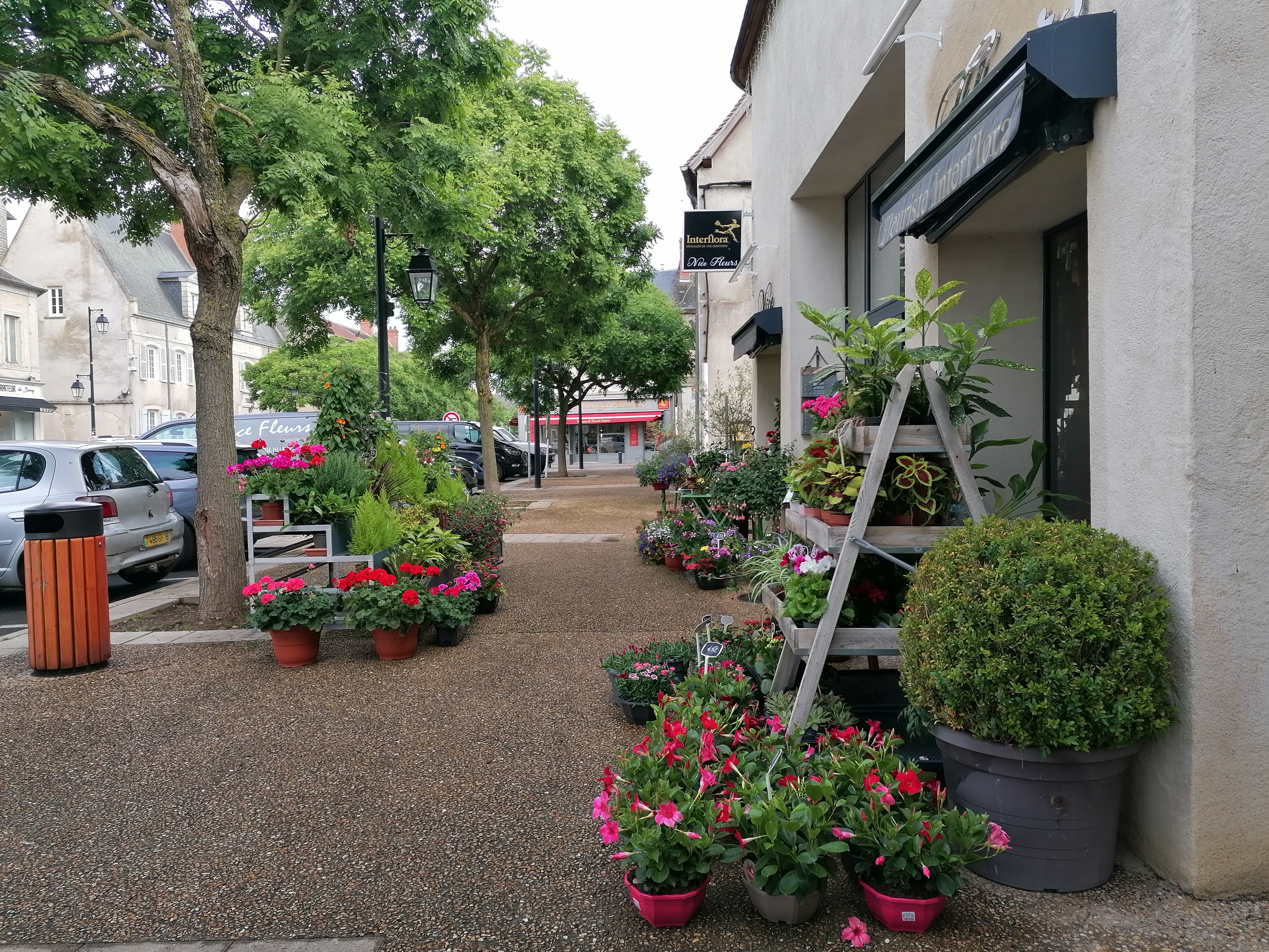 Situé dans la charmante ville de Dun sur Auron, à mi-chemin entre Bourges et Saint Amand Montrond, ce magasin de référence locale offre une occasion unique de pouvoir commencer ou de poursuivre une activité florale dans un environnement agréable et bien équipé.
Ce local conçu en 2017 sur un style industriel , vous pouvez donc profitez d'un établissement récent et fonctionnel.
Surface de vente: 44m2
Atelier: 50m2
Local de réserve: 50m2
Chambre froide
Autres installations: climatisations réversibles, VMC.
Atouts qui font la différence: un grand parking en face de la boutique avec une place de livraison et implanté en centre ville et au beau milieu d'autres commerces