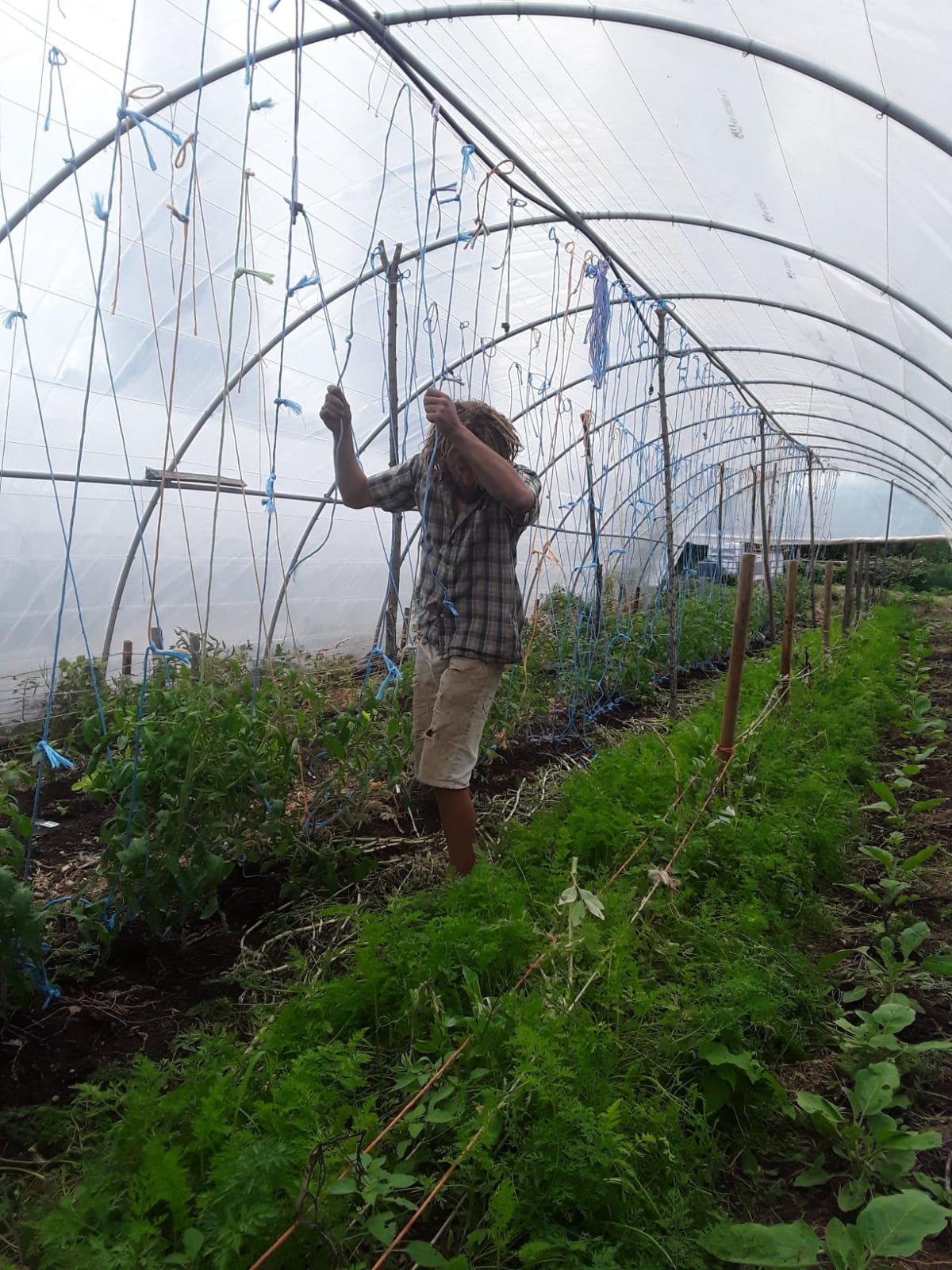 micro ferme en permaculture labellisé bio