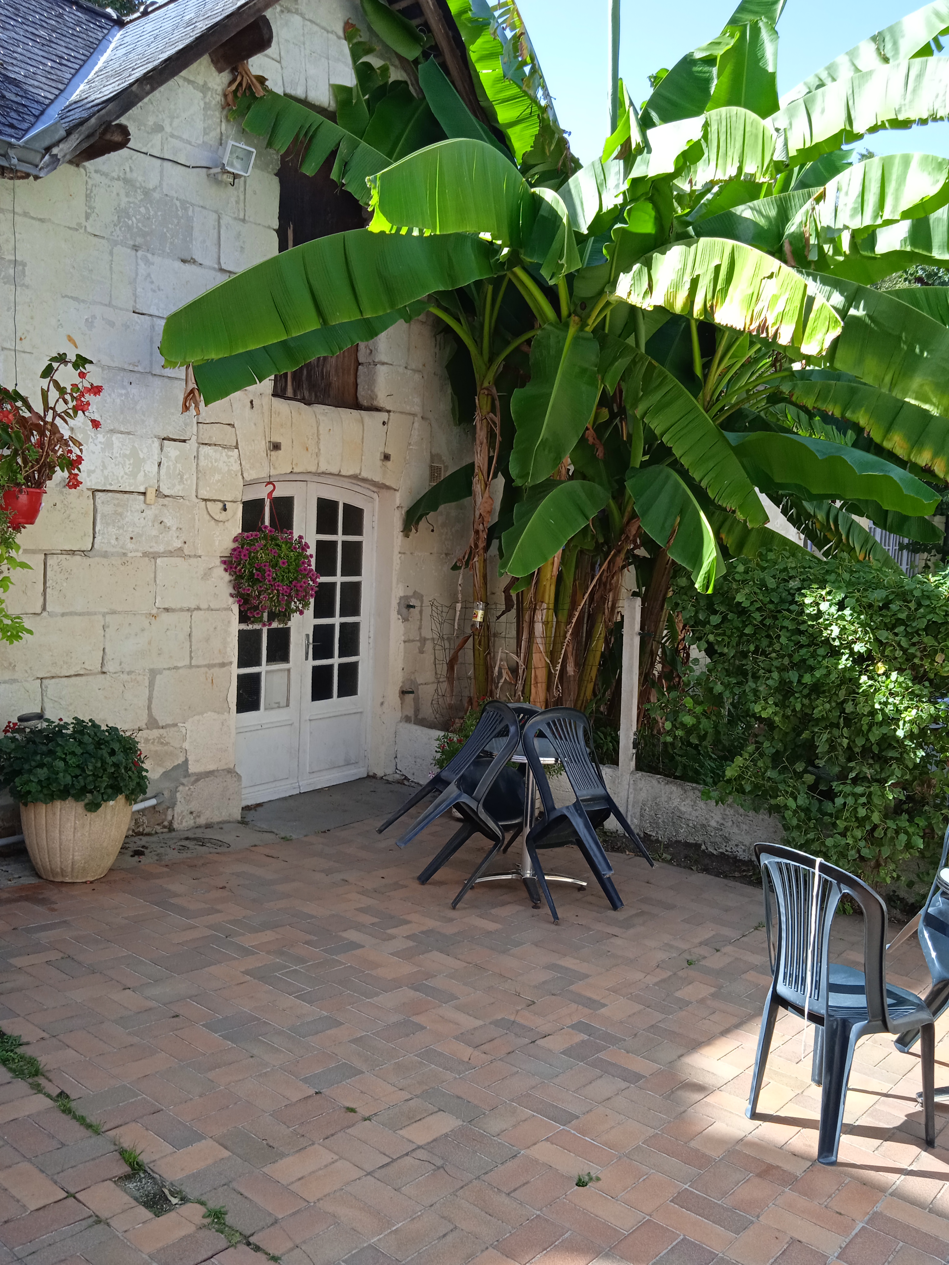 Cause retraite
Vend bar pmu  fdj relais colis 
Ville en plein essort 
Vend aussi les murs