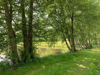 CAMPING FAMILIAL avec HLL & ETANG
Propriété exceptionnelle à exploiter en camping familial sur plus de 6 Ha. Prix :

Jolie vue, calme absolu.
Bordé par une petite rivière du Morvan, ce domaine se compose d'un étang de pêche d'environ 5000 m² de superficie, d'habitations légères de loisir, d'un mobil home, d'emplacements divers pour caravanes et aires de camping
Sanitaires avec douches, lavabos et WC sur le terrain.
Point de vidange pour camping-car.
Le chalet comprenant, 1 véranda très lumineuse sur parquet, grandes baies vitrées, coin lave-linge, cuisine aménagée et équipée, salle à manger, 2 chambres, douche, WC.
Un superbe environnement en pleine nature.