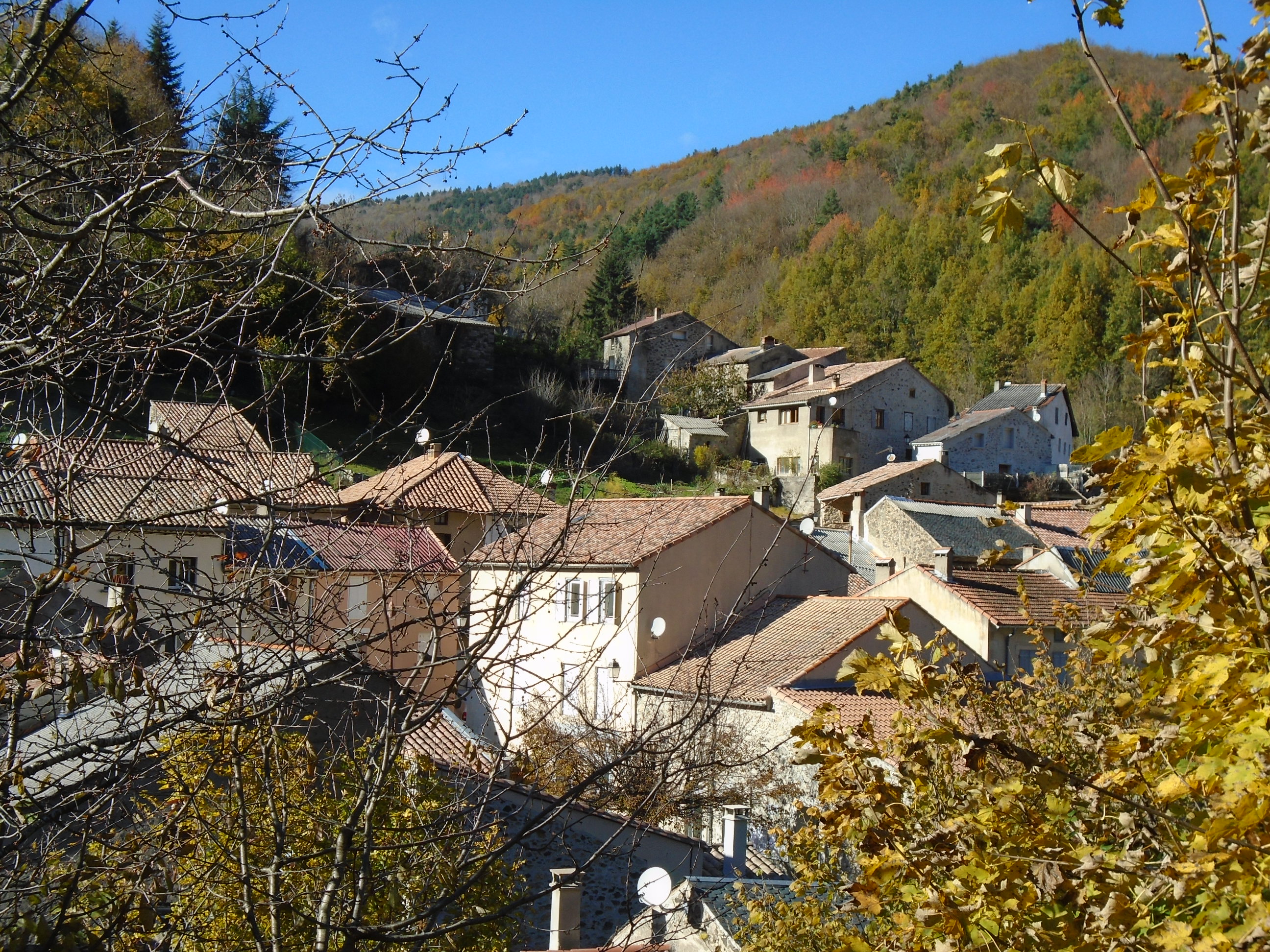 La commune de Montfort sur Boulzane (Aude) recherche un(e) locataire ou un couple de locataires pour l’exploitation de son multiservice bar-restaurant avec licence IV, avec coin épicerie.
Cette municipalité située à deux pas des châteaux cathares, des gorges de la Pierre Lys d'un côté et des Pyrénées Orientales de l'autre, lance un appel à candidatures pour la reprise en location de son restaurant communal idéalement situé au centre du village.

Description de l’établissement
-	Bar restaurant totalement refait à neuf avec licence IV comprise dans le loyer ;
-	Salle de restaurant lumineuse et terrasse agréable : capacité 20 personnes en salle et 20 personnes en terrasse ;
-	Cuisine professionnelle fonctionnelle avec matériel entièrement neuf ;
-	Clientèle locale fidèle et potentiel touristique saisonnier.

Missions attendues
-	Assurer l’exploitation quotidienne du bar – restaurant – épicerie (avec dépôt de pain)
-	Proposer une offre de restauration de qualité, adaptée à la clientèle locale ;
-	Participer à la dynamique et à l’animation du village ;
-	Veiller à la bonne gestion du matériel et des locaux mis à disposition.

Profil recherché
-	Professionnel motivé, autonome et expérimenté dans la restauration ;
-	Sens du service, dynamique, capacité à animer un lieu de vie convivial ;
-	Compétences en gestion et respect des règles sanitaires et de sécurité.

Conditions de mise à disposition
-	La location des lieux se fera par le biais d’une convention d’occupation du domaine public de 24 mois renouvelable ;
-	Le tarif de la location des murs, du matériel et de la licence IV est de 250€ par mois ;
-	Un appartement neuf T3 est réservé au preneur s’il le souhaite au tarif de 250€ par mois

Candidatures
Une visite des lieux est conseillée. Elle est possible sur simple demande à la mairie.
Les candidatures devront être reçues en mairie au plus tard le 30 avril 2026. Elles devront contenir un CV avec références professionnelles, une lettre de motivation et un projet d’exploitation.
Vous pouvez les adresser au choix
par courrier à Mairie de Montfort sur Boulzane – 8 place de la mairie – 11140 Montfort sur Boulzane
ou par mail à candidature.multiservice.montfort@orange.fr
