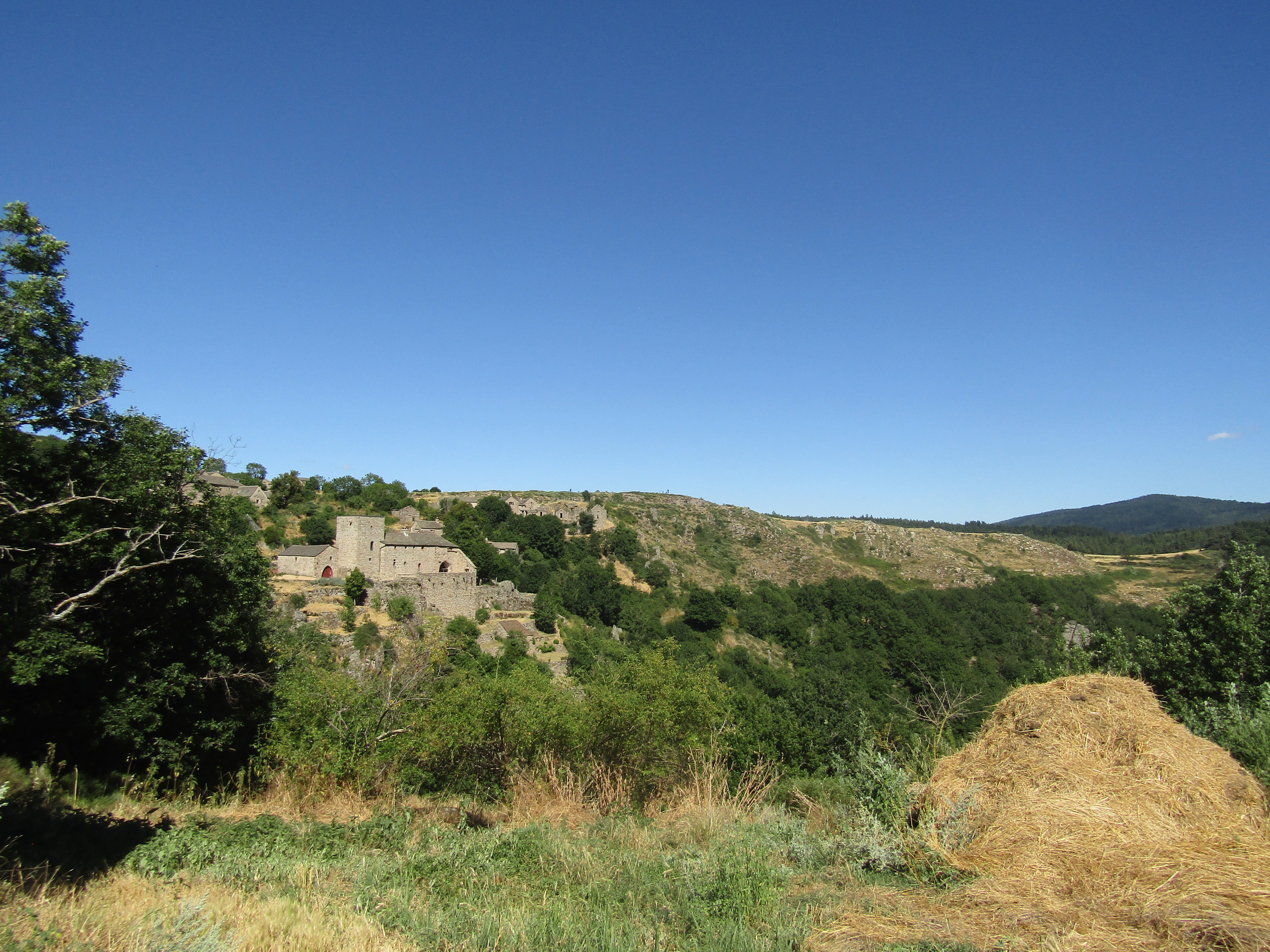 A reprendre en tant qu’associé(e), une ferme caprine avec transformation fromagère, située en Lozère, au cœur du Parc National des Cévennes. La ferme, fondée il y a 40 ans,  se trouve à 30 minutes de Florac Trois Rivières (48).
Le GAEC est actuellement composé de deux associés (hors cadre familial). L’un des associés quittera prochainement le GAEC pour partir à la retraite. Ils sont à la recherche d’un nouvel(le) associé(e), voire deux. Puisque le GAEC est dimensionné pour fonctionner à 3, il peut néanmoins fonctionner à 2. 
L’activité est l’élevage d’une soixantaine de chèvres de race alpine-saanen ainsi que la transformation du lait en fromage : pélardon. Un fromage de chèvre emblématique des Cévennes bénéficiant de l’appellation AOP. La vente s’effectue en direct, sans intermédiaire, auprès de professionnels et de particuliers. 
La ferme offre également des perspectives d’évolution : de nouveaux projets sont envisageables, comme le développement d’autres productions ou l’accueil à la ferme. L’essentiel est de conserver une ferme familiale à taille humaine. Le futur associé devra s’inscrire dans cette dynamique. Il devra être motivé, rigoureux, aimer le travail en équipe et être sensible au mode de vie paysan et aux valeurs du monde rural. La reprise s’effectuera par l’achat de 50 % des parts sociales du GAEC. 
Le matériel et le cheptel appartiennent au GAEC, tandis que les bâtiments et les terres sont détenus par un GFA.  Le foncier comprend environ quarante hectares, dont une trentaine de parcours et une dizaine de fauche. Les bâtiments comprennent deux chèvreries, une fromagerie équipée pour la transformation et une salle de traite fonctionnelle. Capital social du GFA (bâtiments et foncier) : 150 000€ 
Détails : vente de parts sociales : 15 000€. 
Référence de l'annonce : L0499