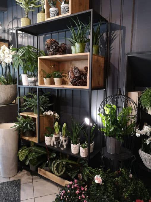 À vendre fond de fleurs, créé entièrement il y a 25 années fort.
50 m2 de surface de vente et 30 m2 d'atelier et réserve.
Bel emplacement grande visibilité
Grand bourg commerçant dynamique.
Bonne orientation pour exposer Vos créations à l extérieur.
Facilité pour se garer à proximité
Entretien et amélioration régulières de l ensemble du bâtiment: beaucoup de charme : vitrine et porte (1 an) . 
Population de bord de mer, local ,secondaire et touristique en augmentation.
CA en progression constante pouvant encore évoluer.
Vente du fond + loyer