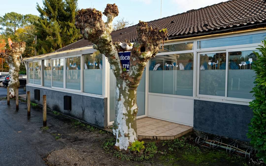 Commerce de proximité sur le Bassin d'Arcachon. Actuellement, bar, tabac, restaurant FDJ et PMU, les possibilités sont multiples et le logement inclus.
Clientèle fidèle et agréable ainsi que touristique l'été et vacances scolaires.